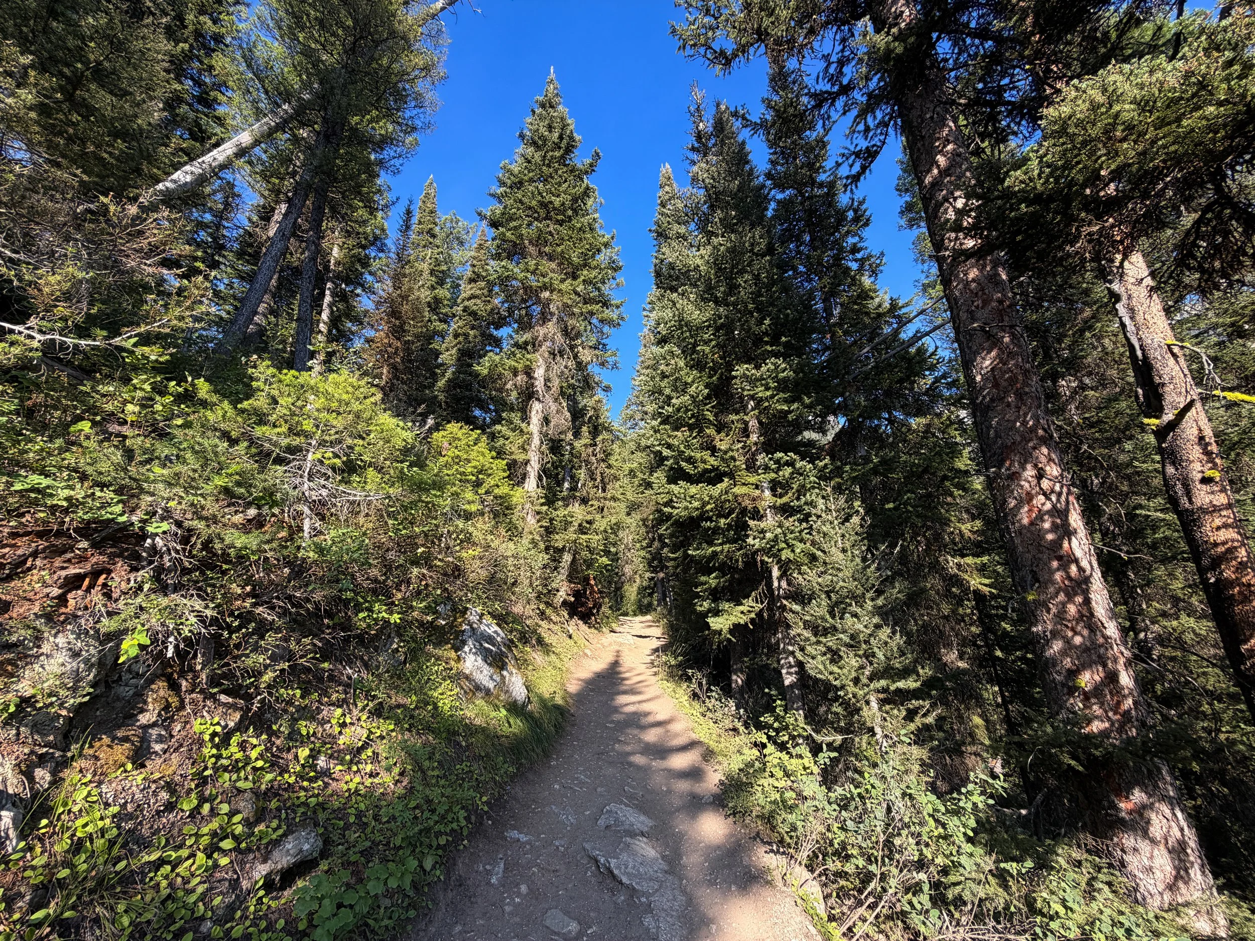 Delta Lake Trail Grand Teton National Park Wyoming
