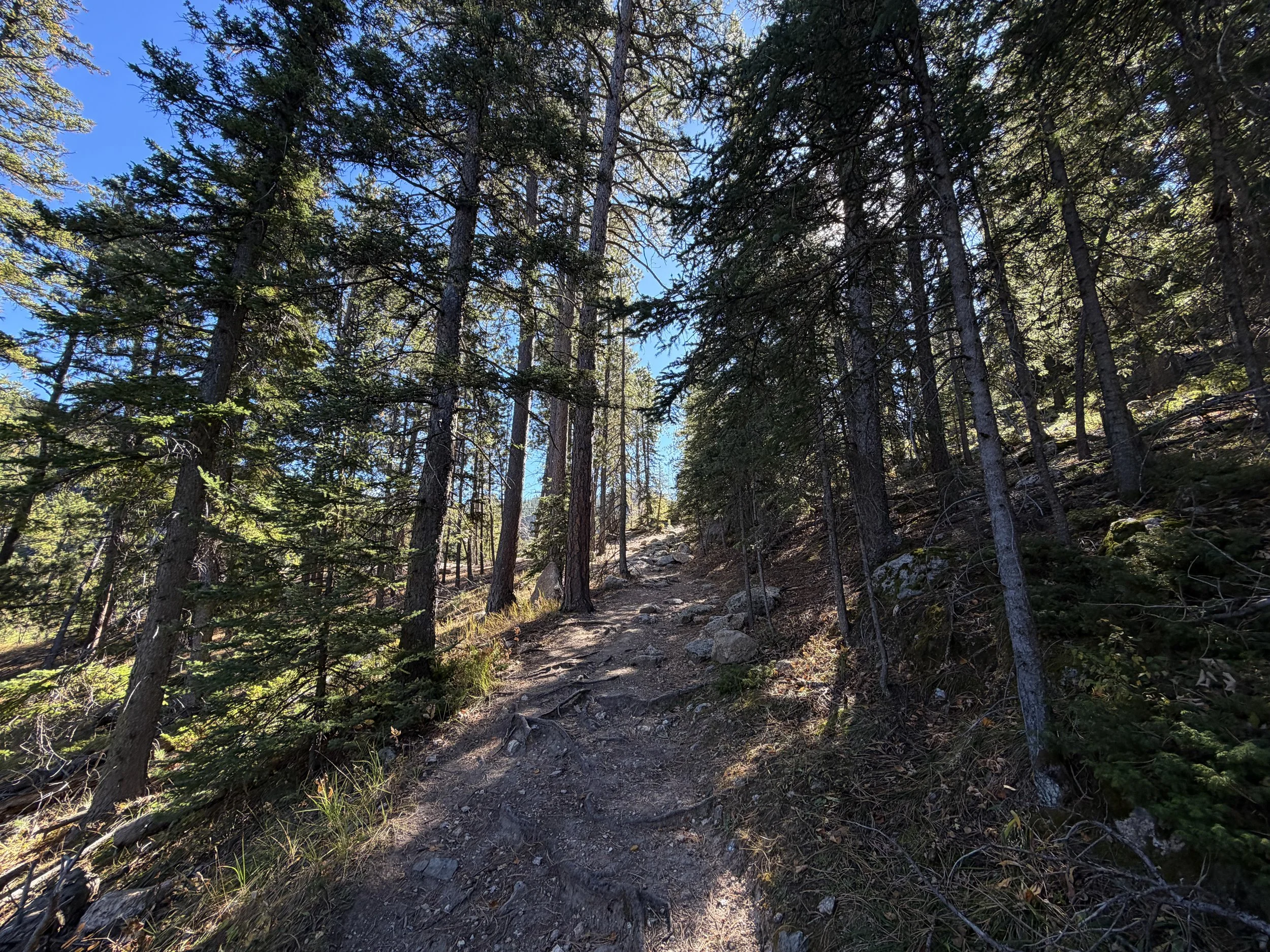 Sunday Gulch Trail Custer State Park Black Hills South Dakota