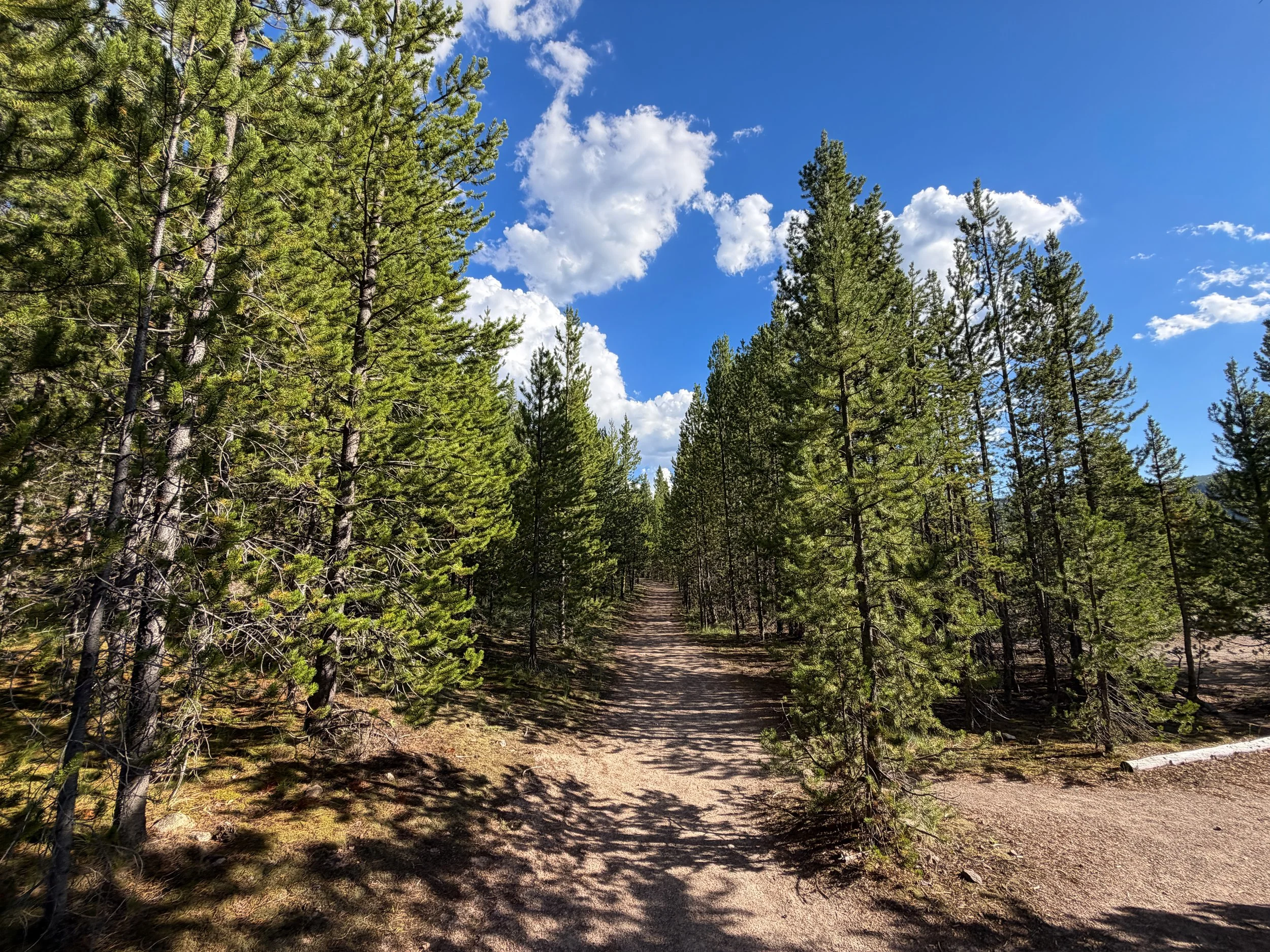 Artemisia Trail to Morning Glory Pool Yellowstone National Park Wyoming