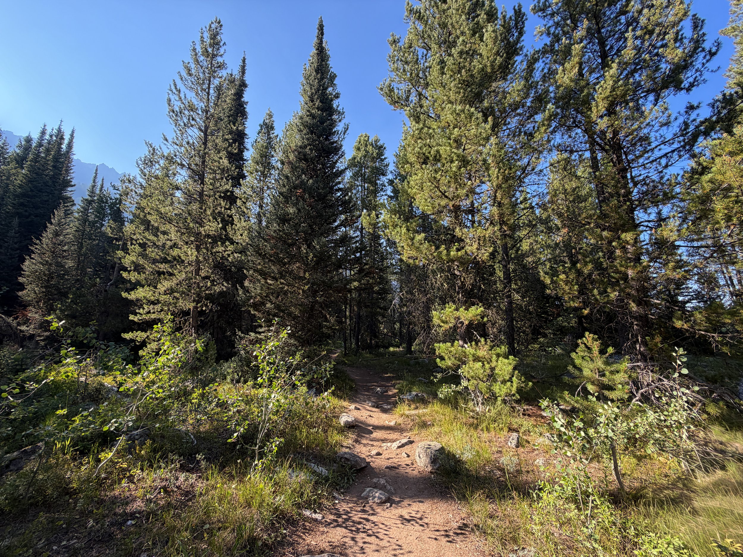 Moose Ponds Trail Grand Teton National Park Wyoming