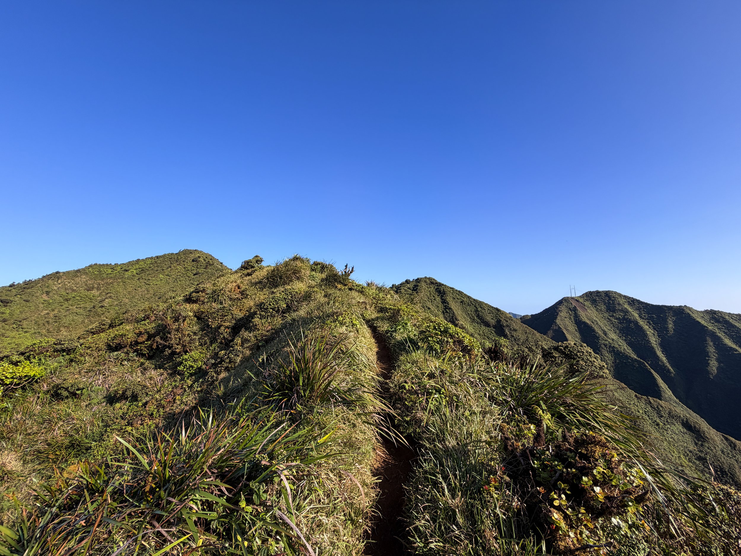 Moanalua Middle Ridge Trail to Stairway to Heaven Oahu Hawaii