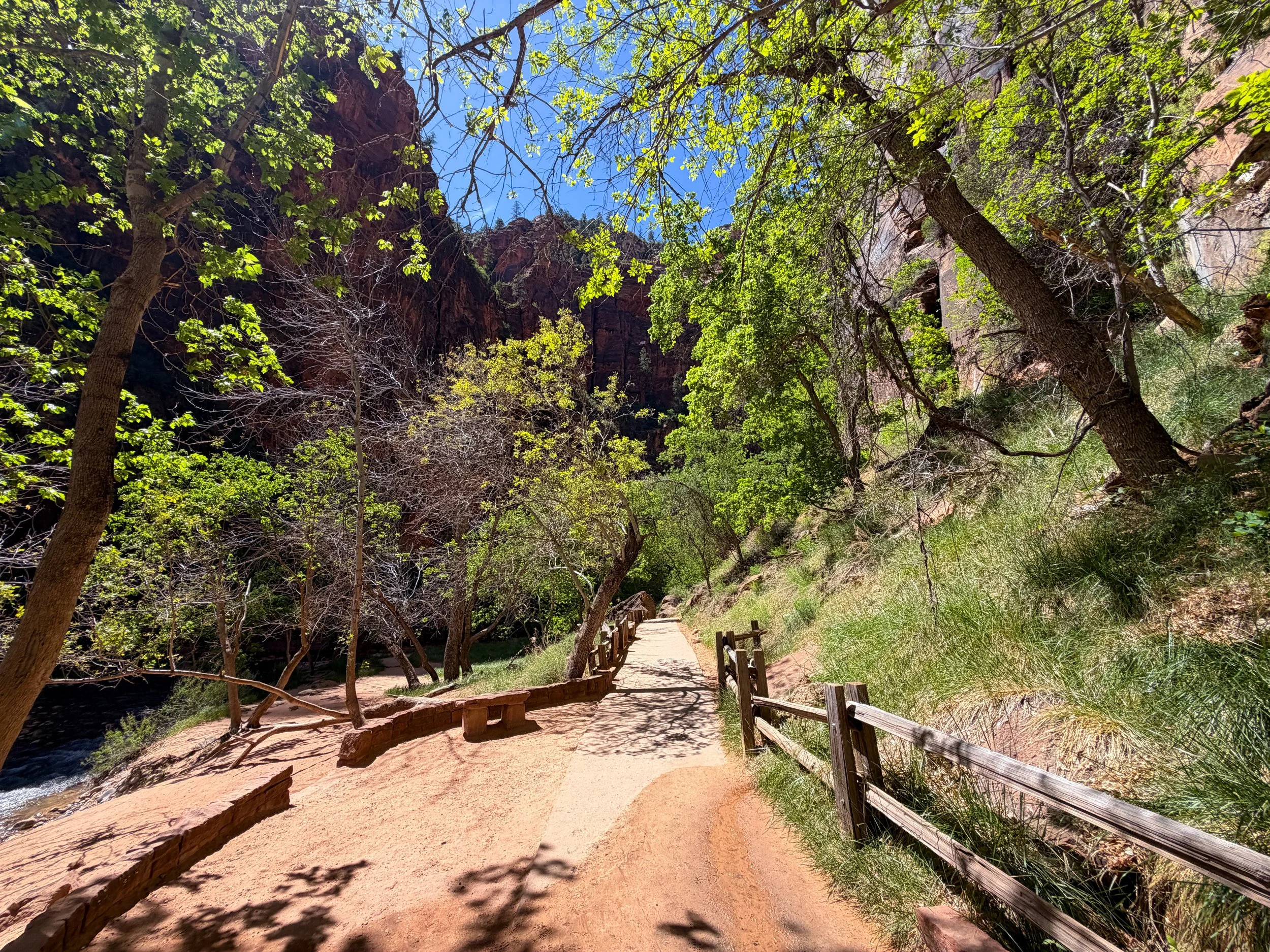 Riverside Walk to the Narrows Zion National Park Utah