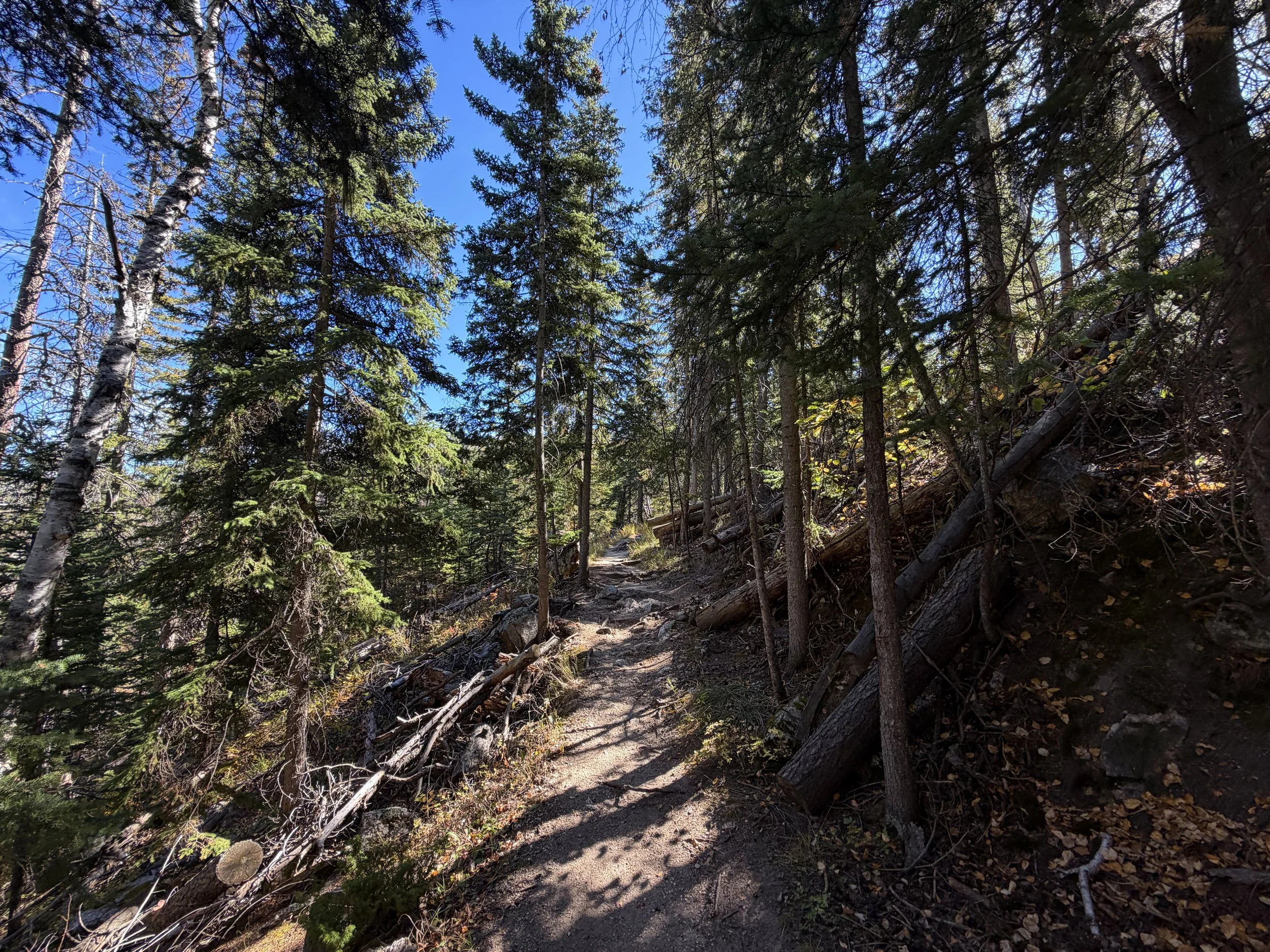 Sunday Gulch Trail Custer State Park Black Hills South Dakota