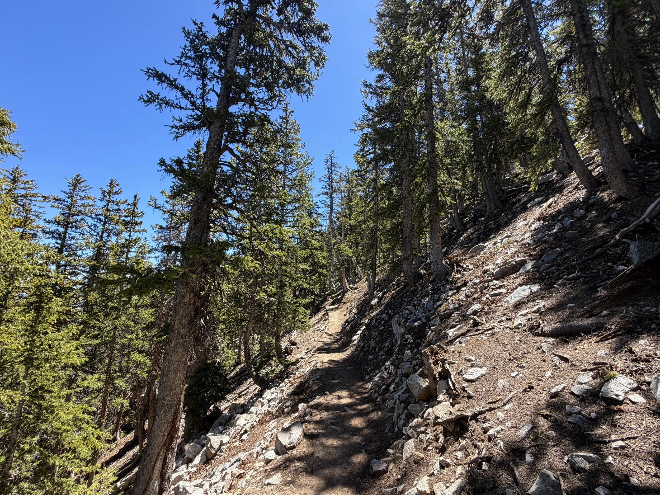 Bristlecone Pine Trail Great Basin National Park Nevada