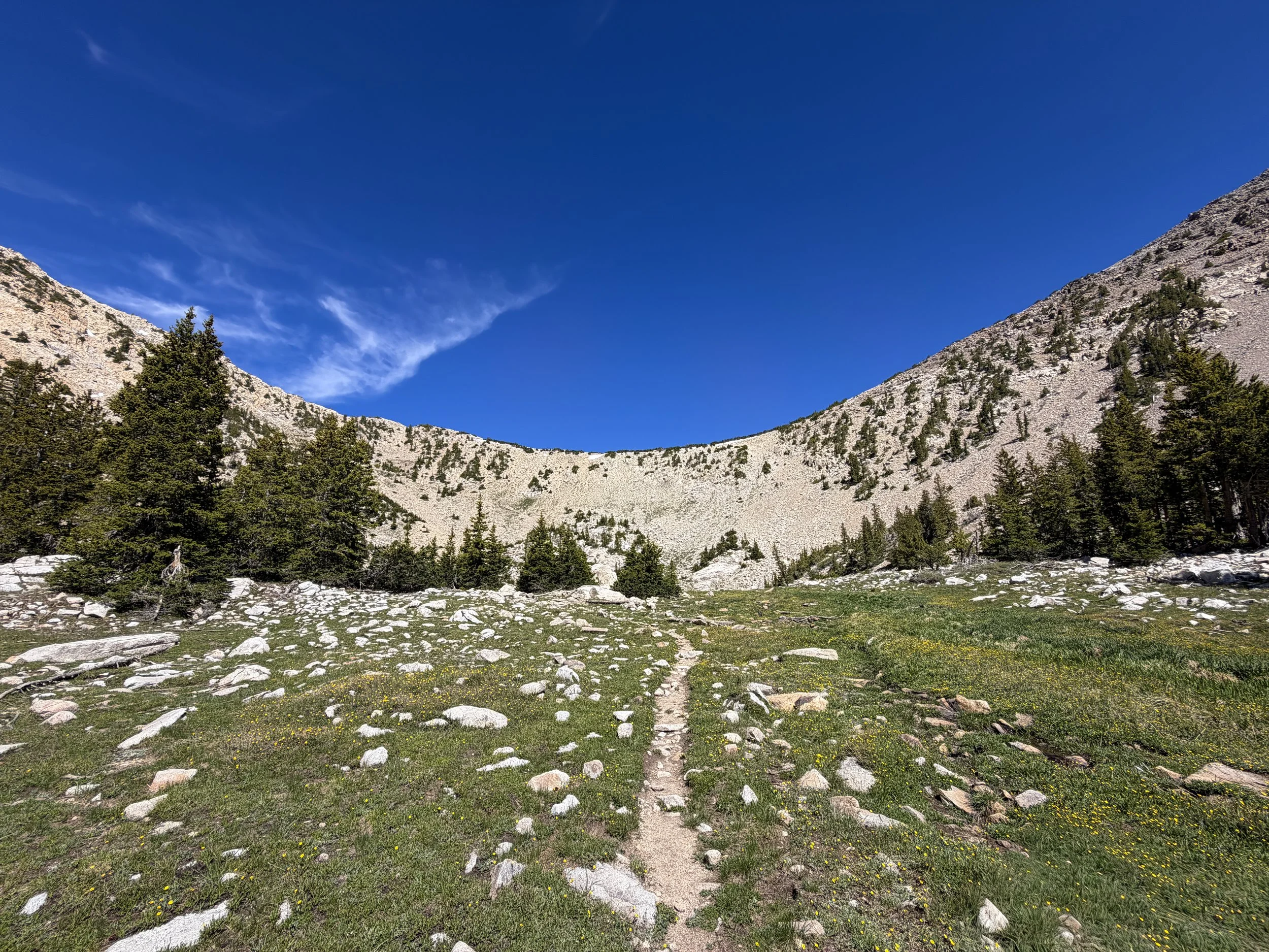 Johnson Lake Trail Great Basin National Park Nevada