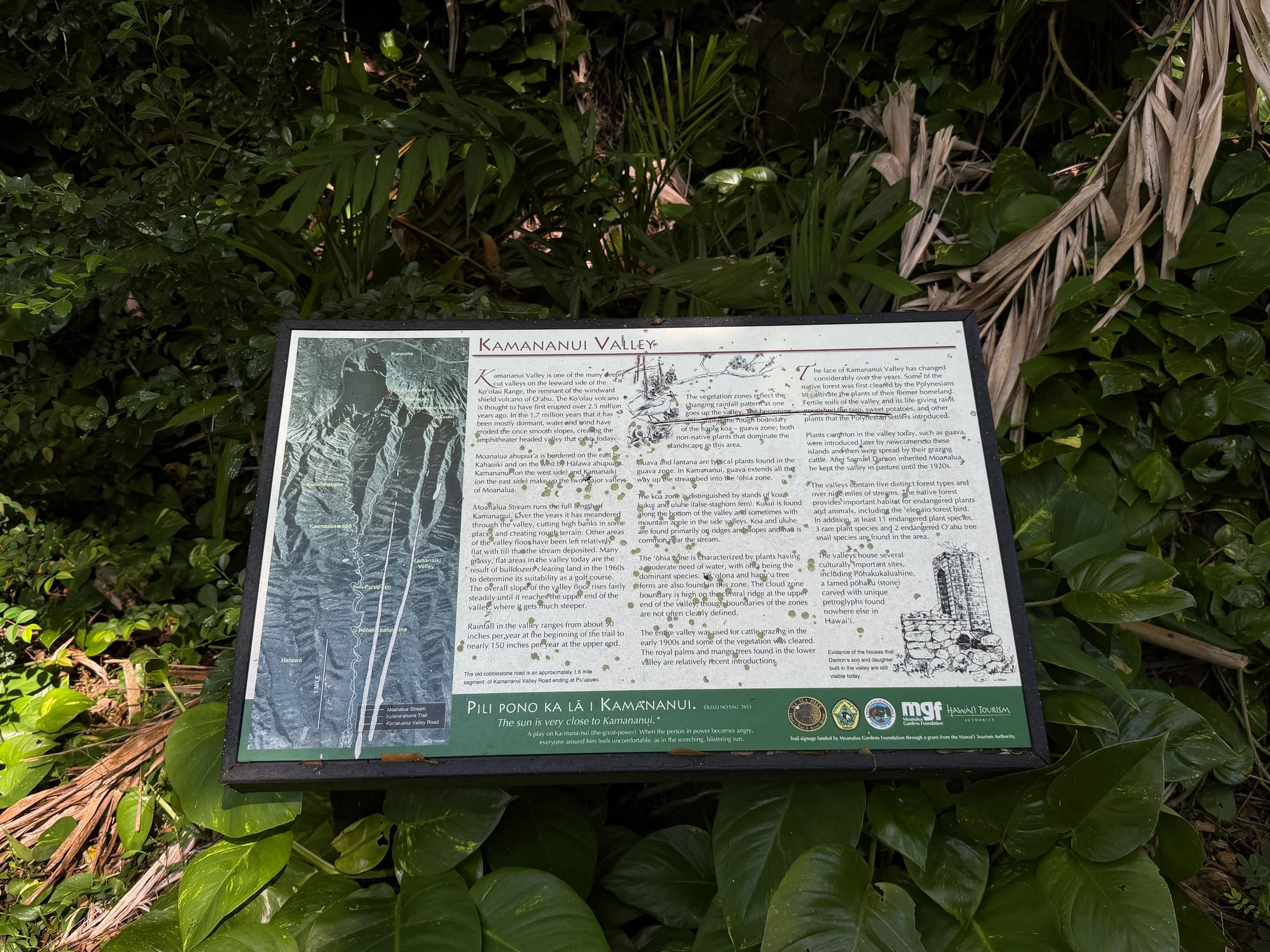 Tripler Ridge Trail via Moanalua Valley Oahu Hawaii