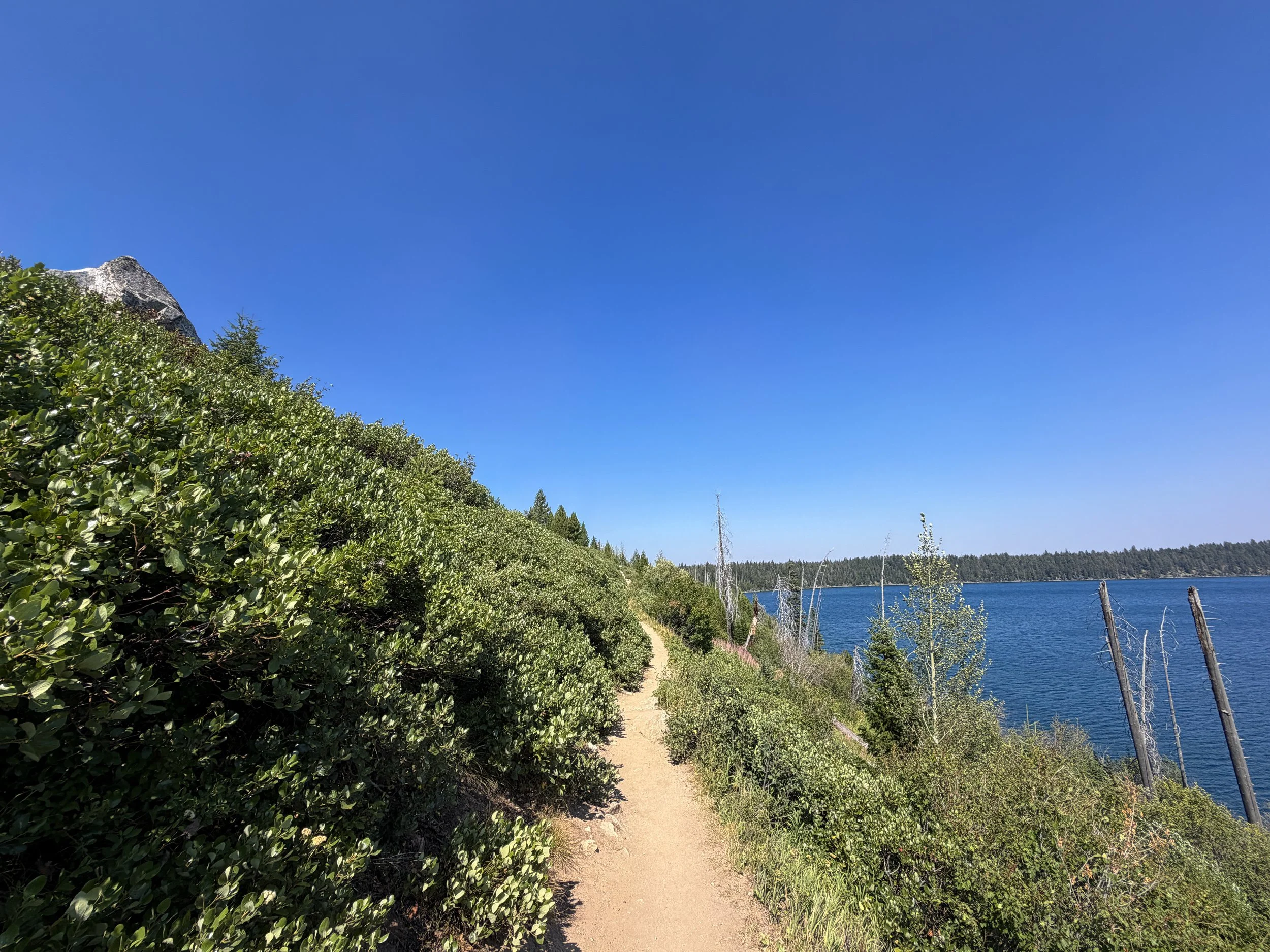Jenny Lake Loop Trail Grand Teton National Park Wyoming