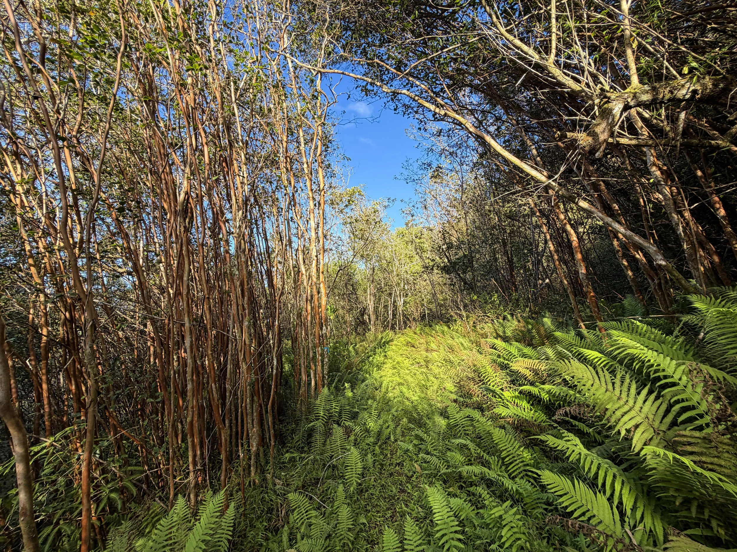Mokuleia Hike Oahu Hawaii