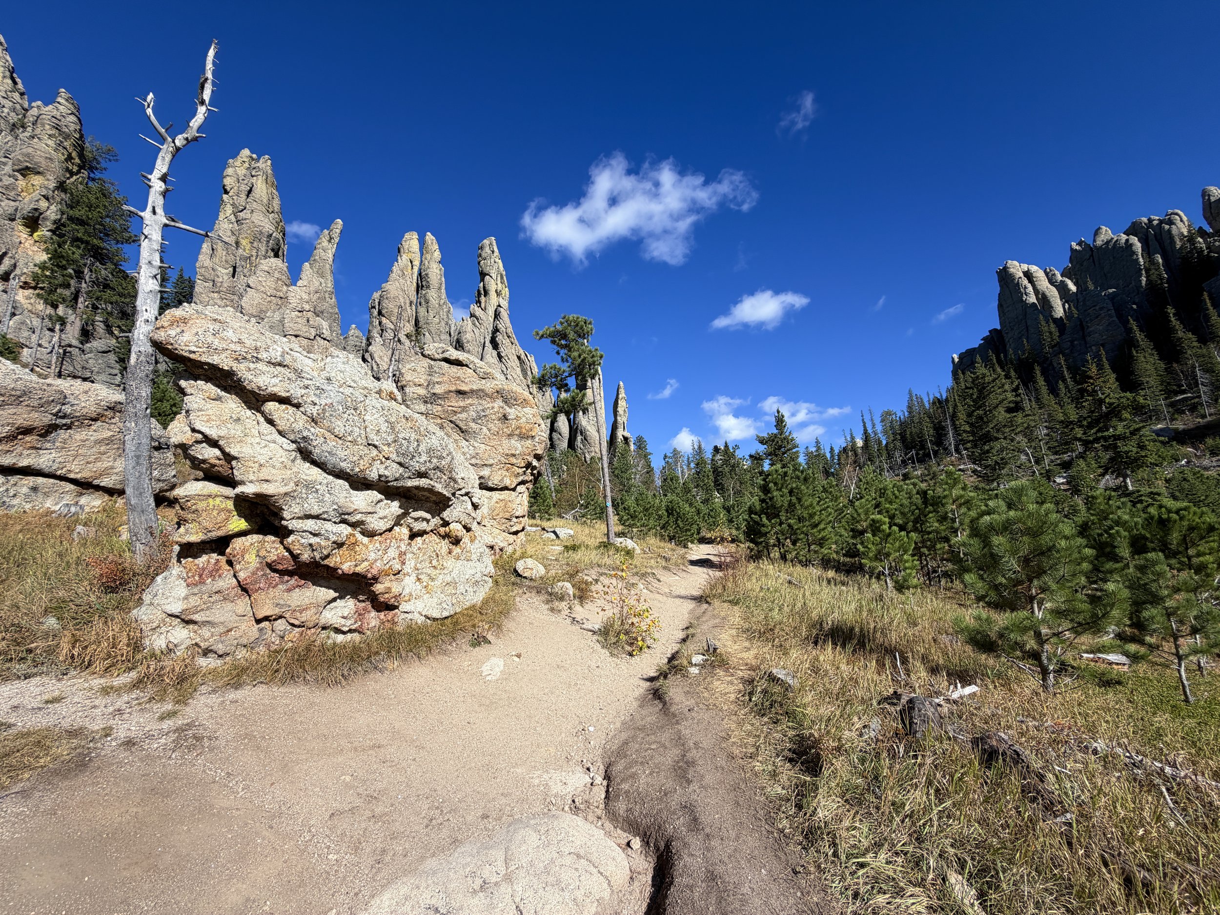 Cathedral Spires Trail Custer State Park Black Hills South Dakota