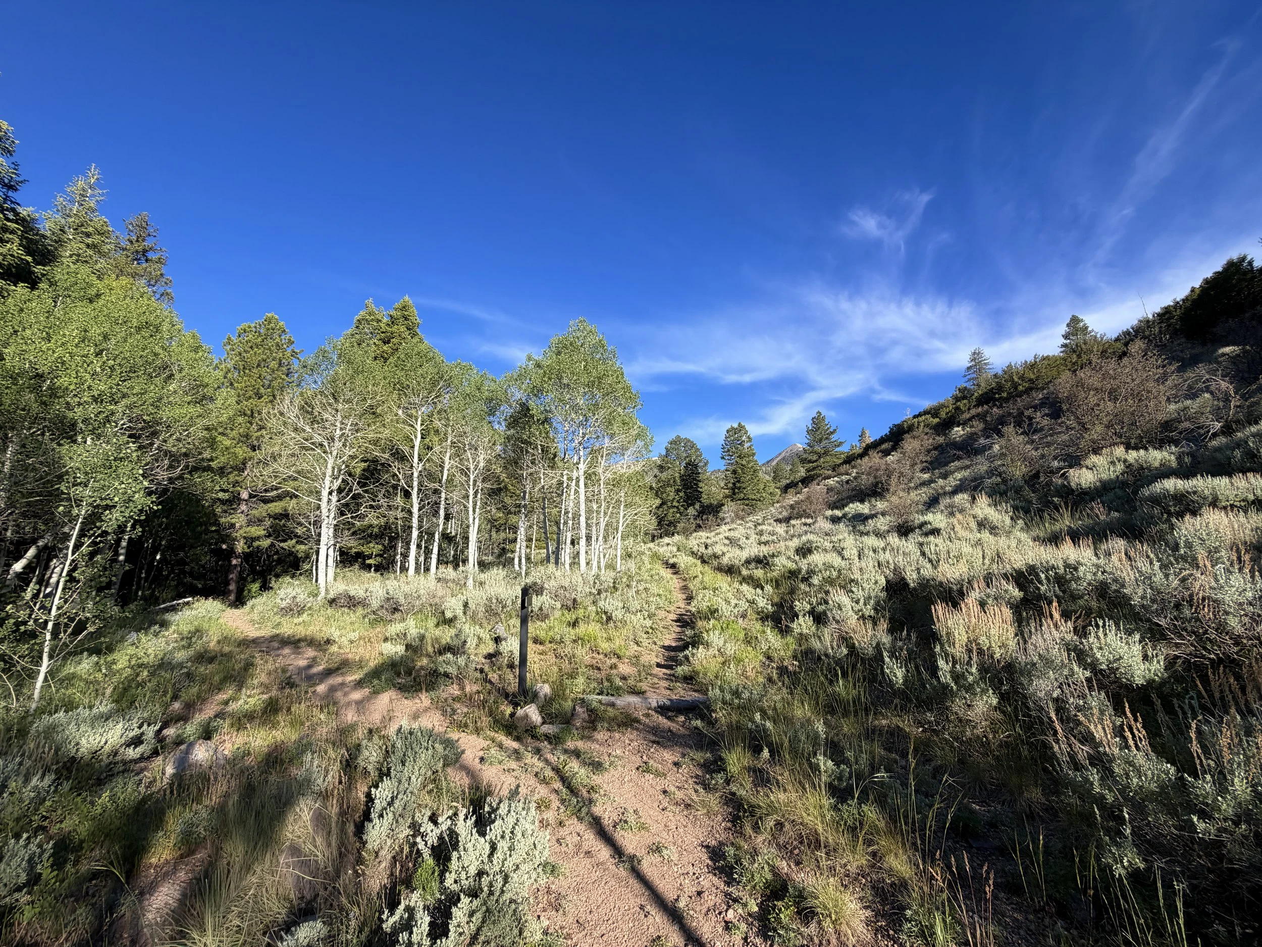 Snake Creek Overlook Trail Great Basin National Park Nevada