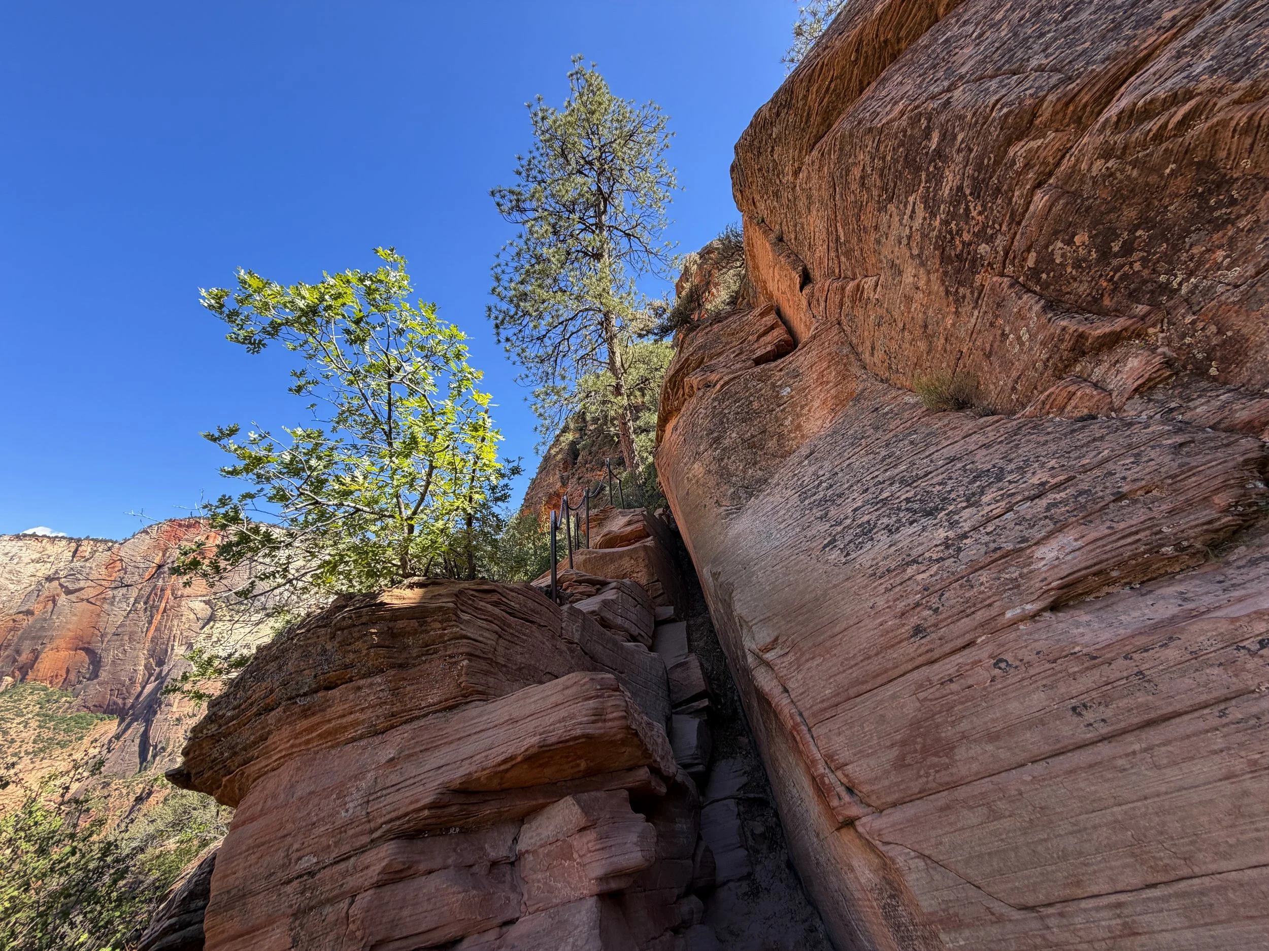 Angels Landing Trail Chains Zion National Park Utah