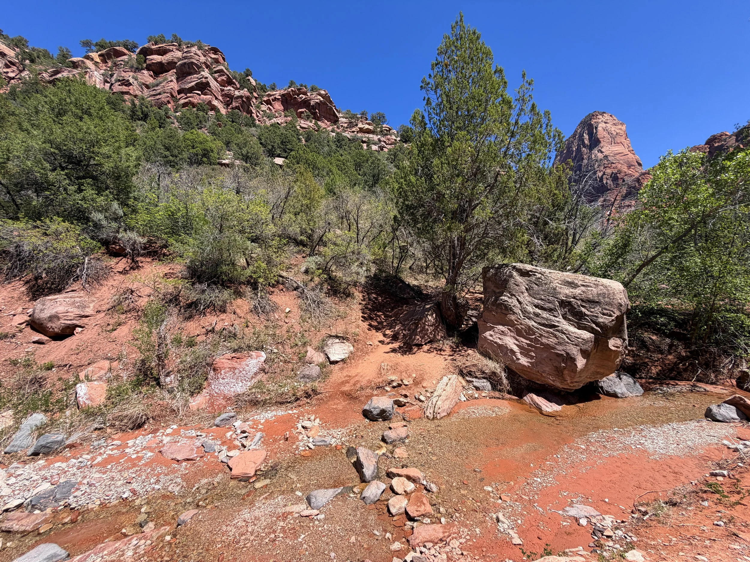 Middle Taylor Creek Hike Zion National Park Utah