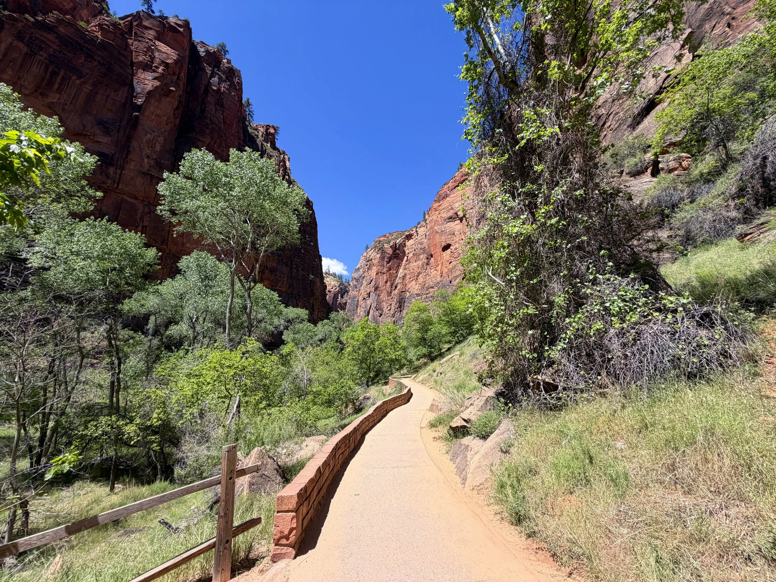 Riverside Walk Hike Zion National Park Utah
