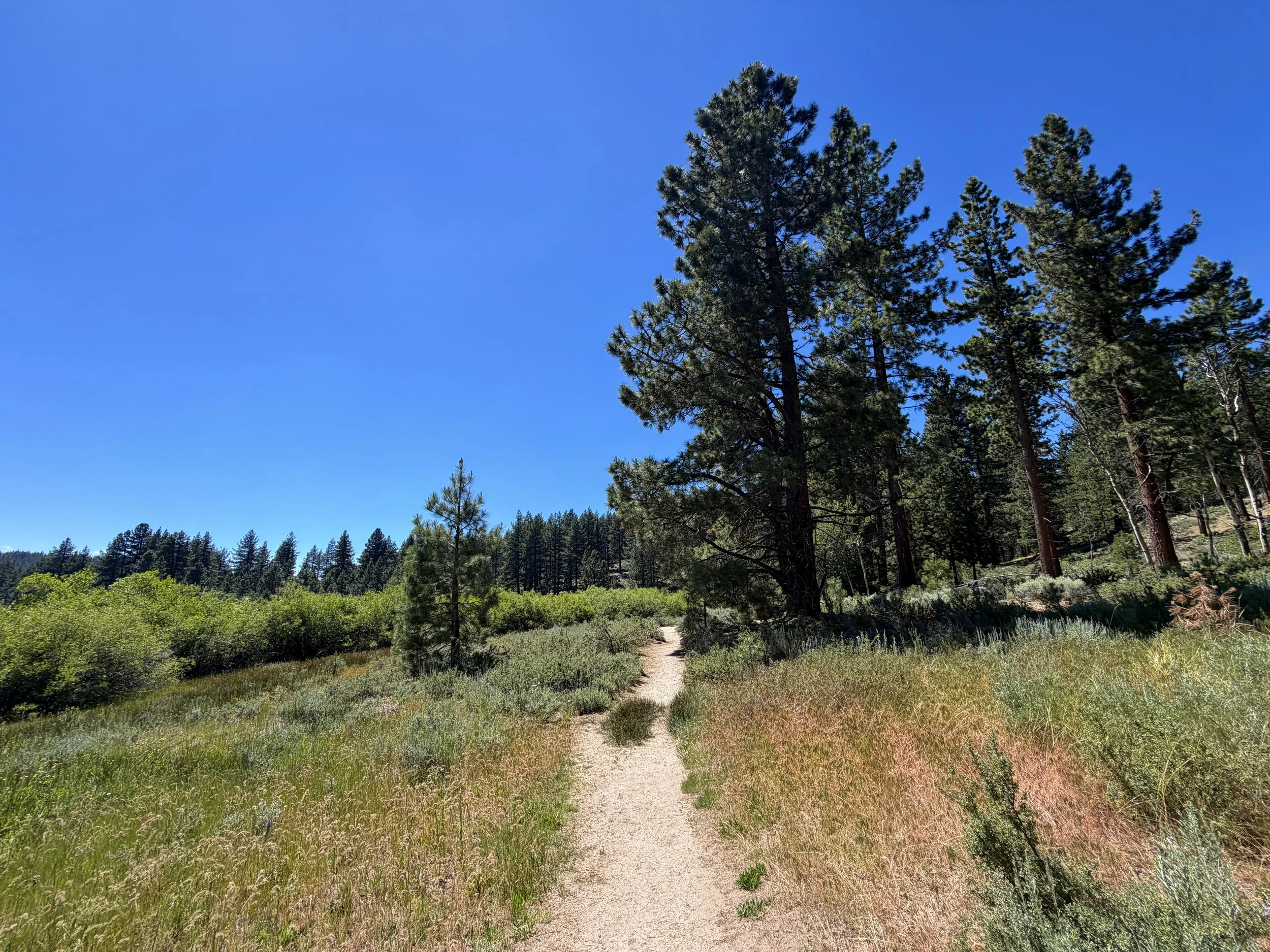 Spooner Lake Loop Hike Lake Tahoe Nevada