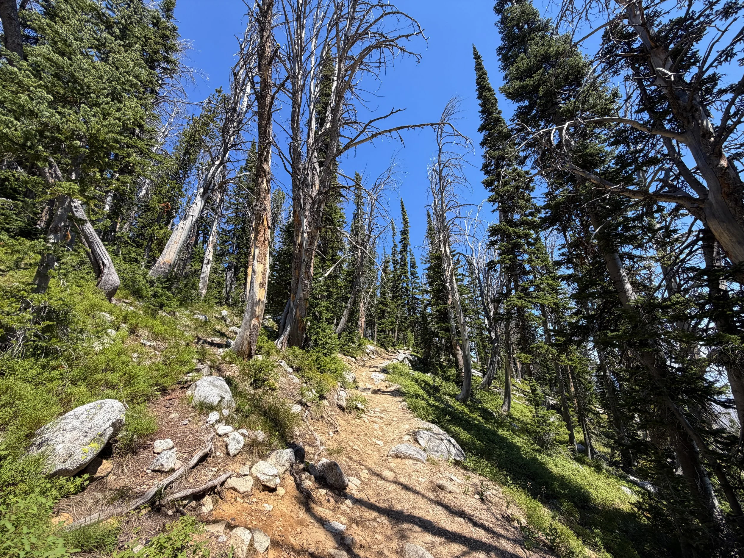 Surprise and Amphitheater Lakes Hike Grand Teton National Park Wyoming