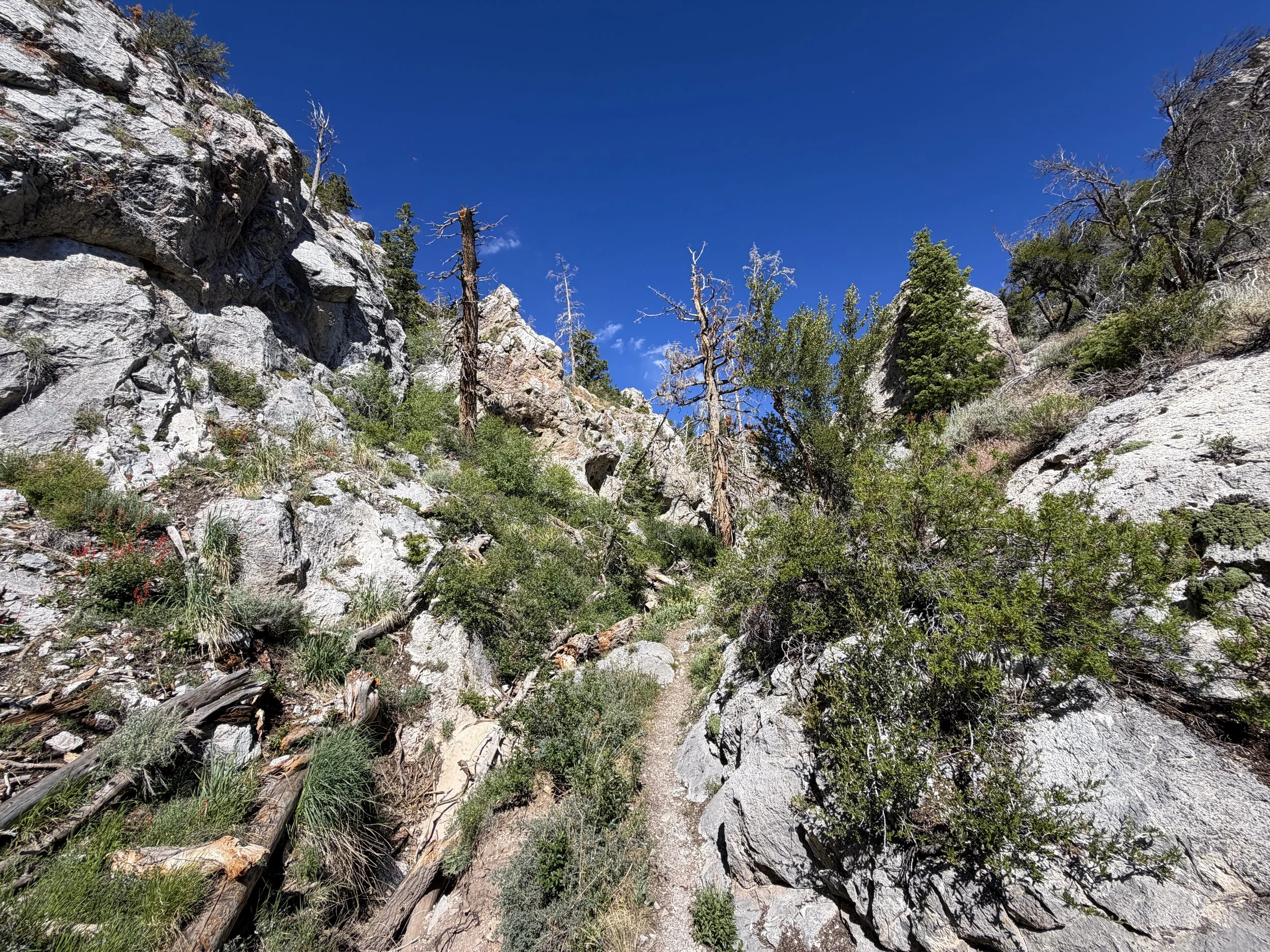 Lexington Arch Trail Great Basin National Park Nevada
