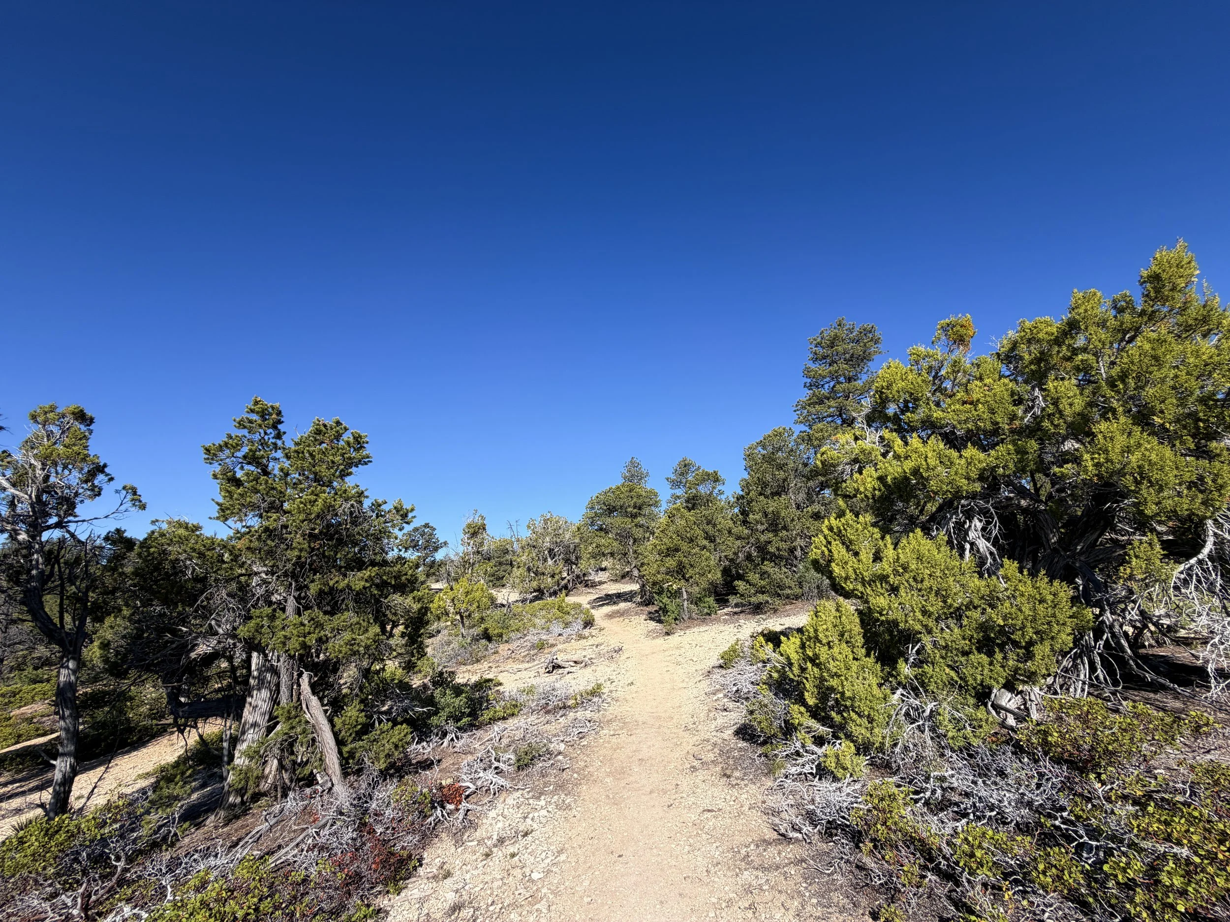 Deertrap Mountain Trail Zion National Park Utah