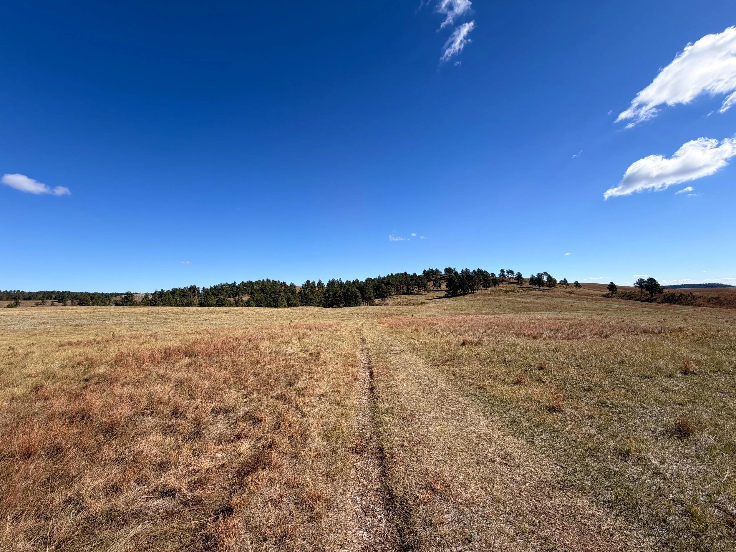 Lookout Point Trail Wind Cave National Park South Dakota
