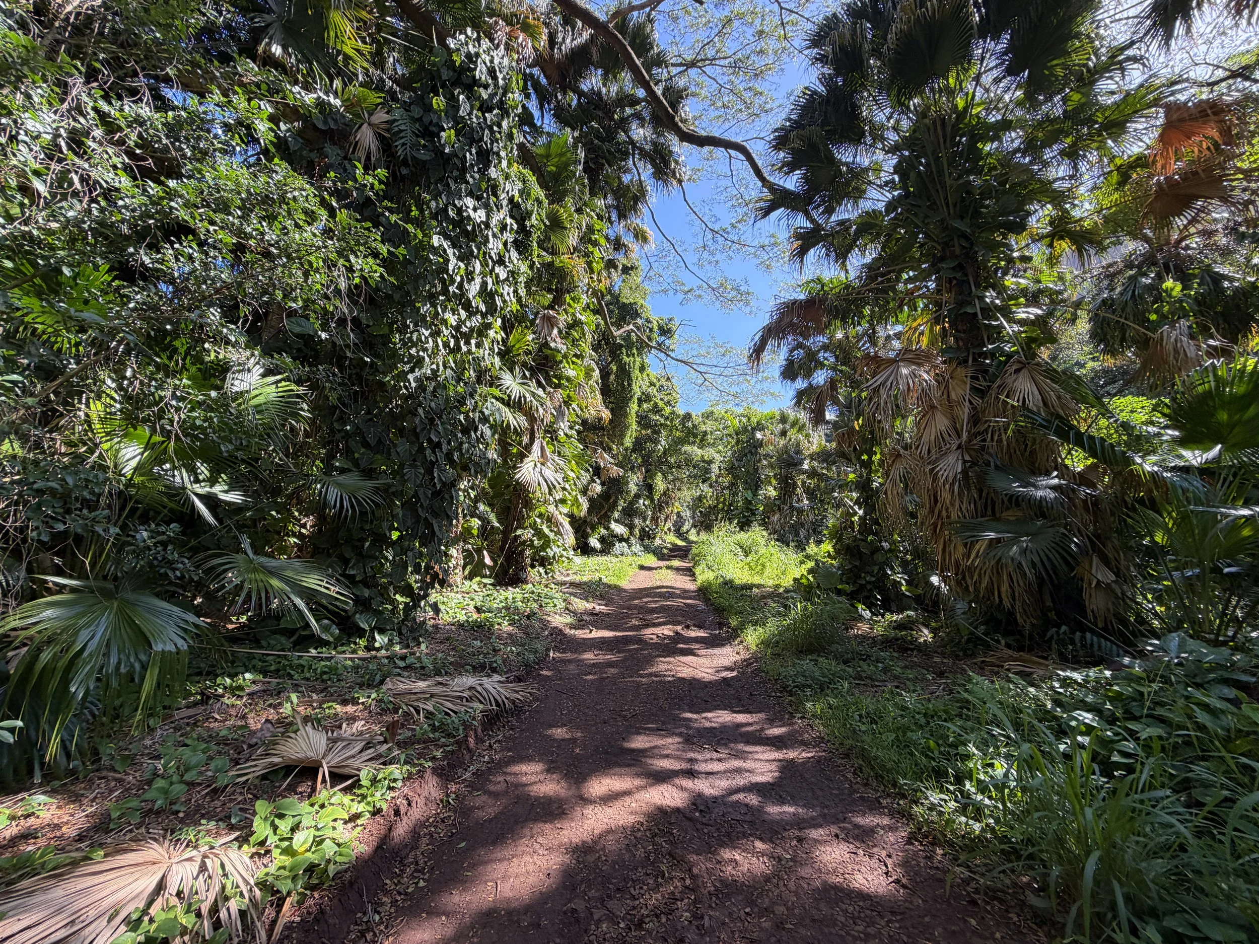 Tripler Ridge Trail via Moanalua Valley Oahu Hawaii