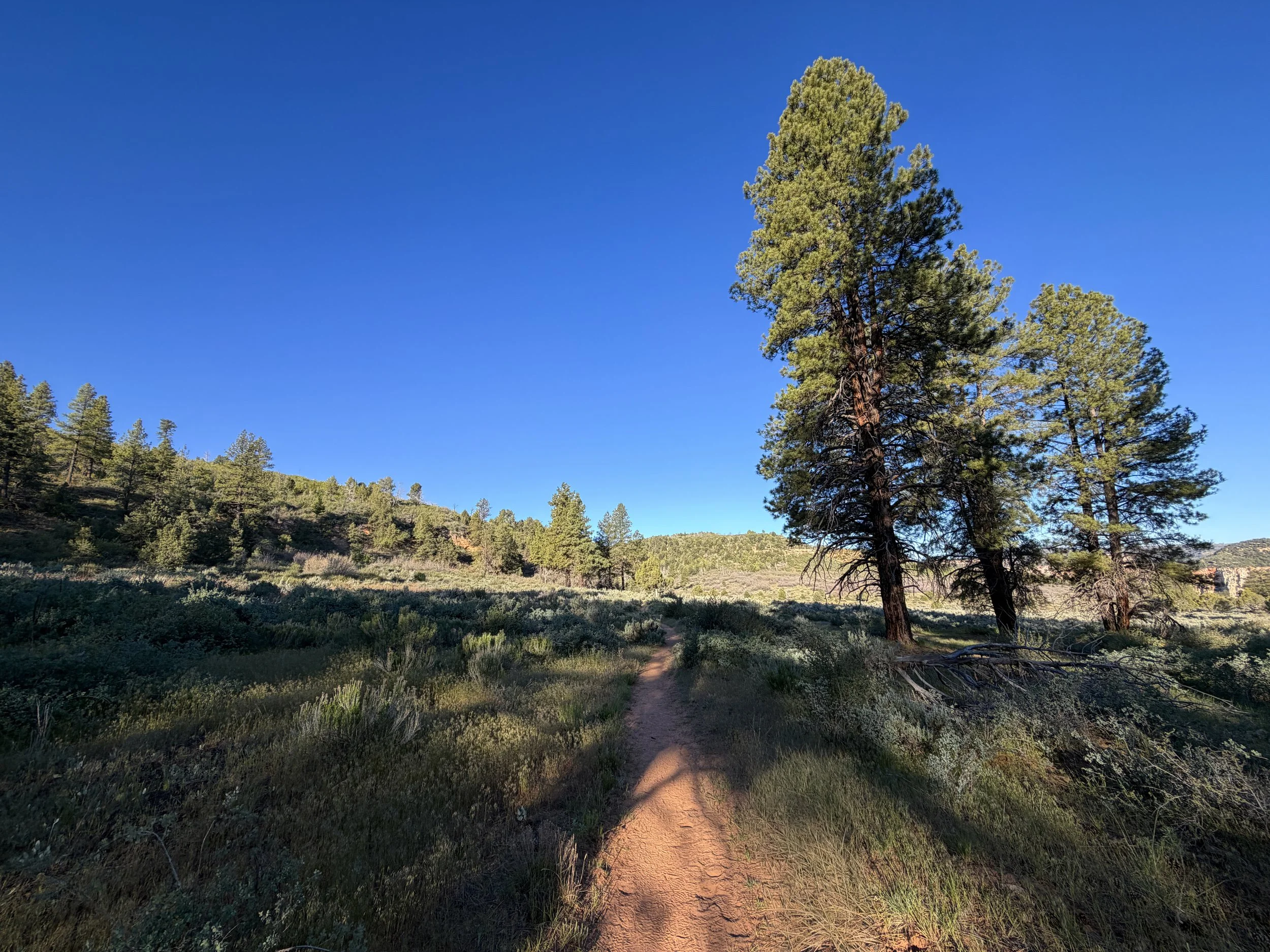 Deertrap Mountain Trail Zion National Park Utah