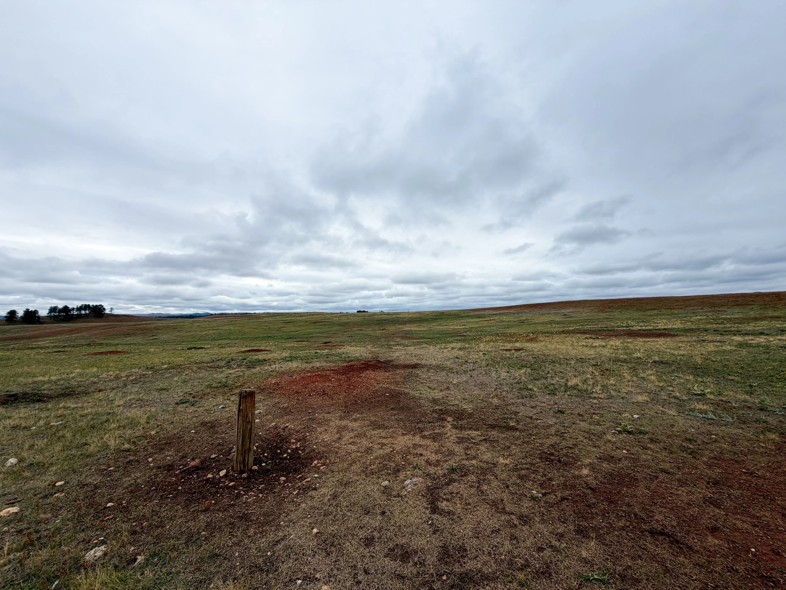 Highland Creek Trail Wind Cave National Park South Dakota