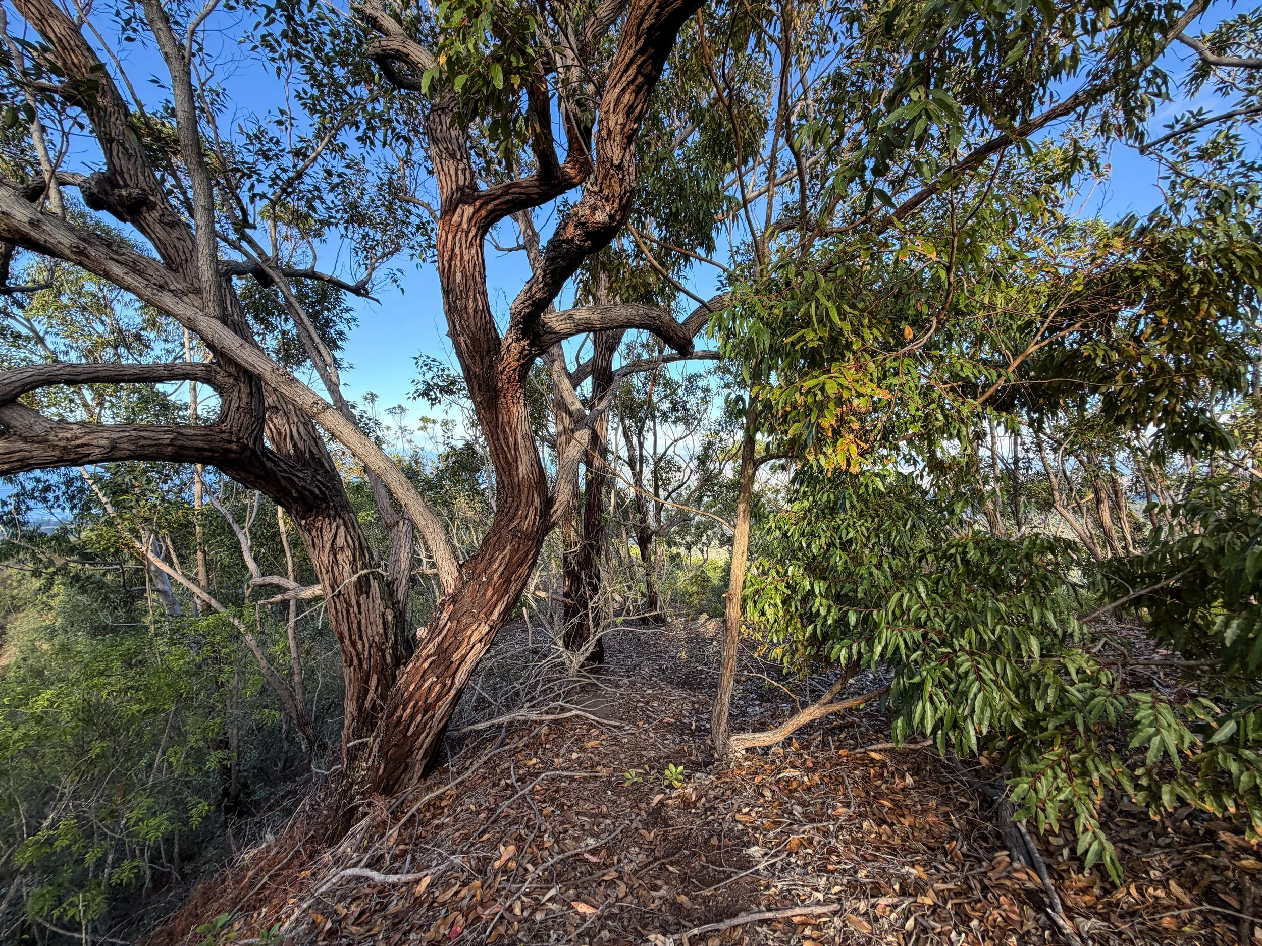 Mokuleia Trail Oahu Hawaii