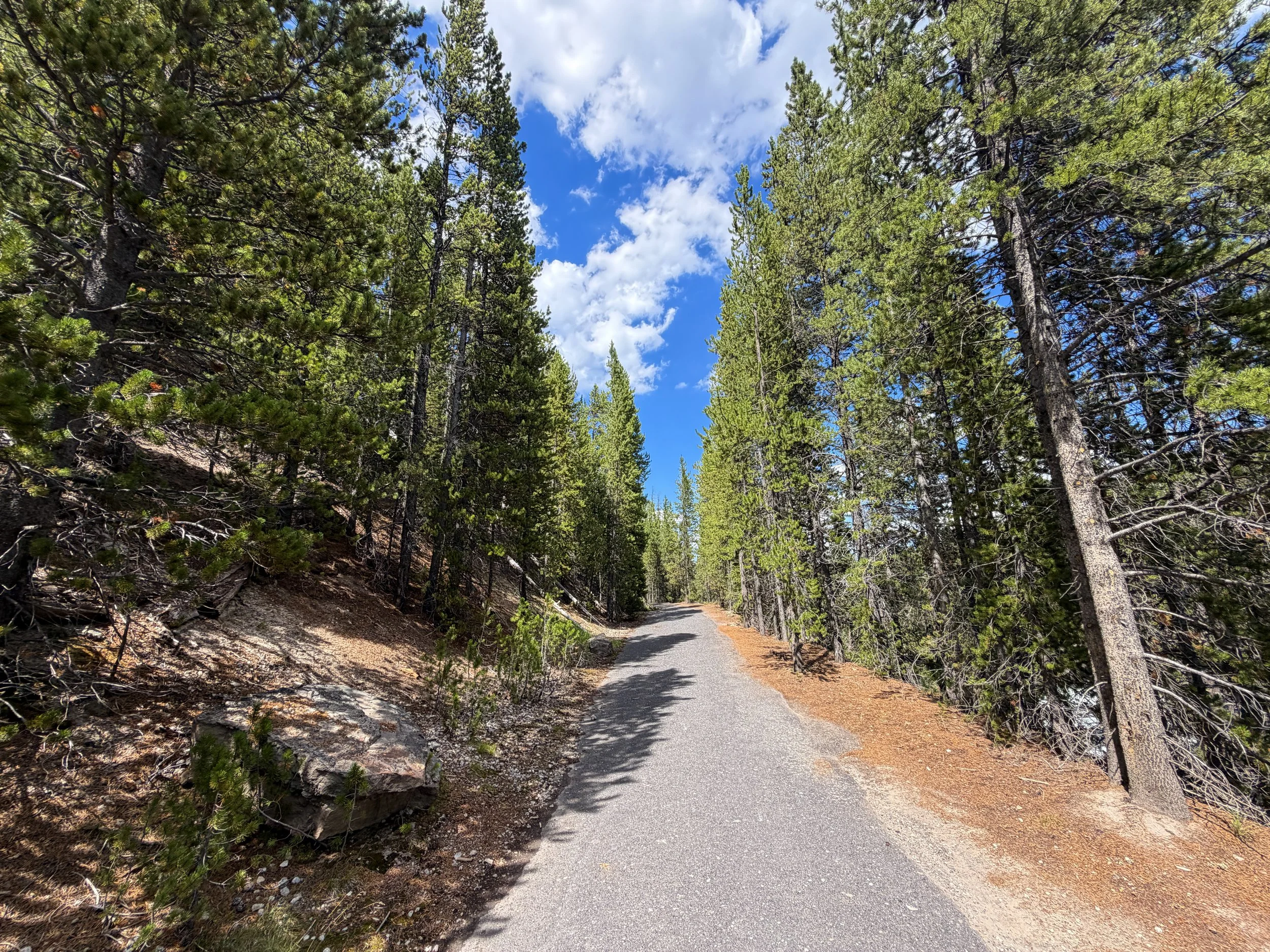 North Rim Trail Yellowstone National Park Wyoming