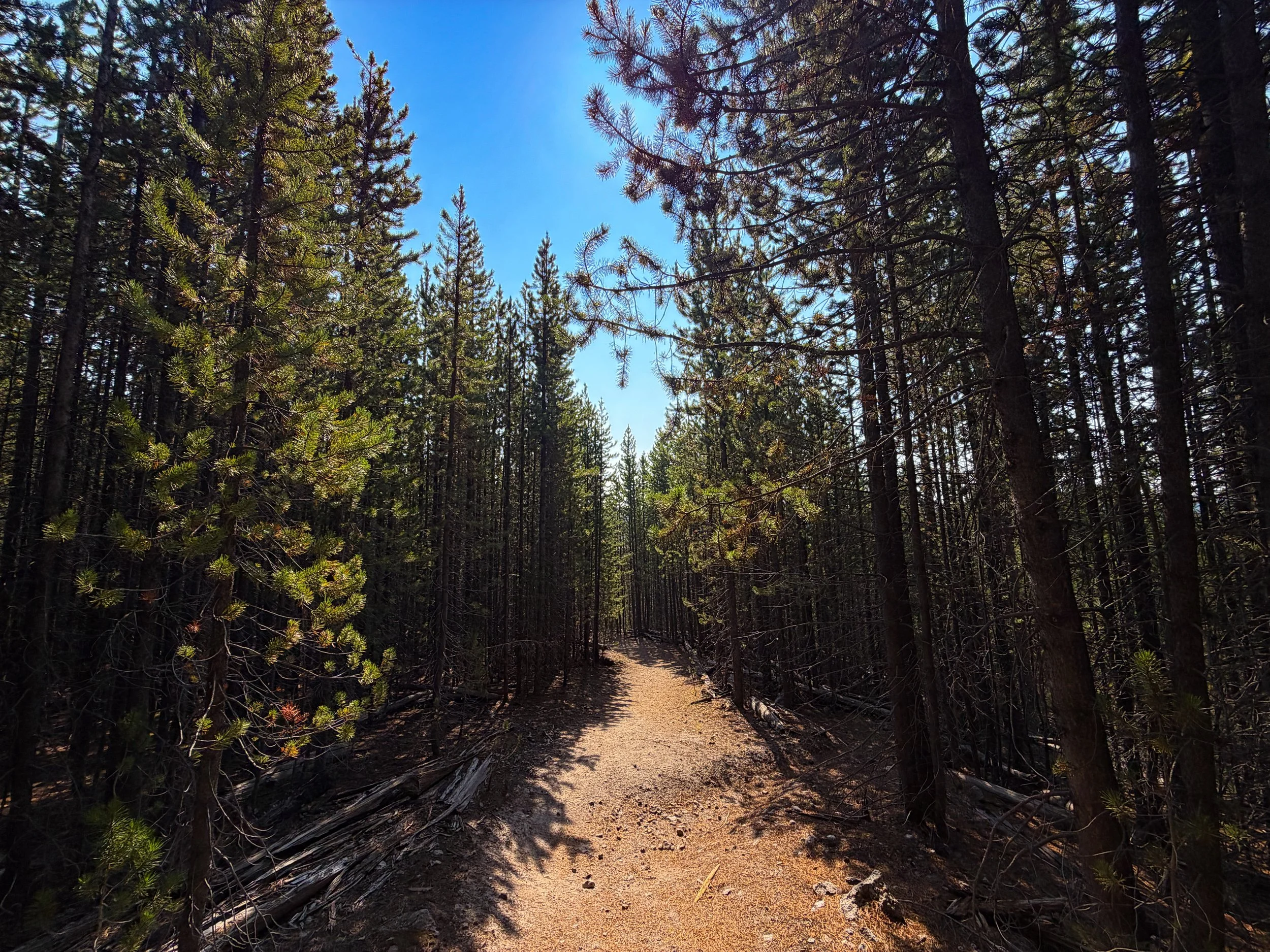 Mystic Falls Trail Yellowstone National Park Wyoming