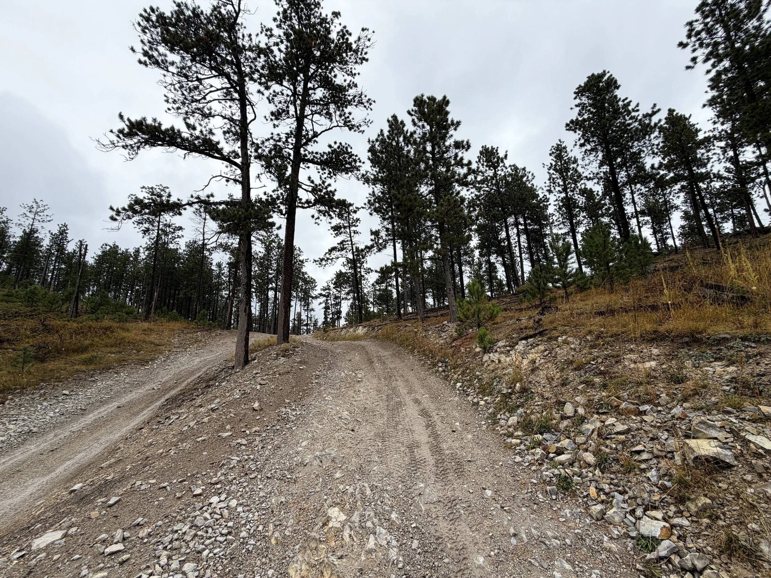 Custer Peak Lookout Trail Black Hills South Dakota