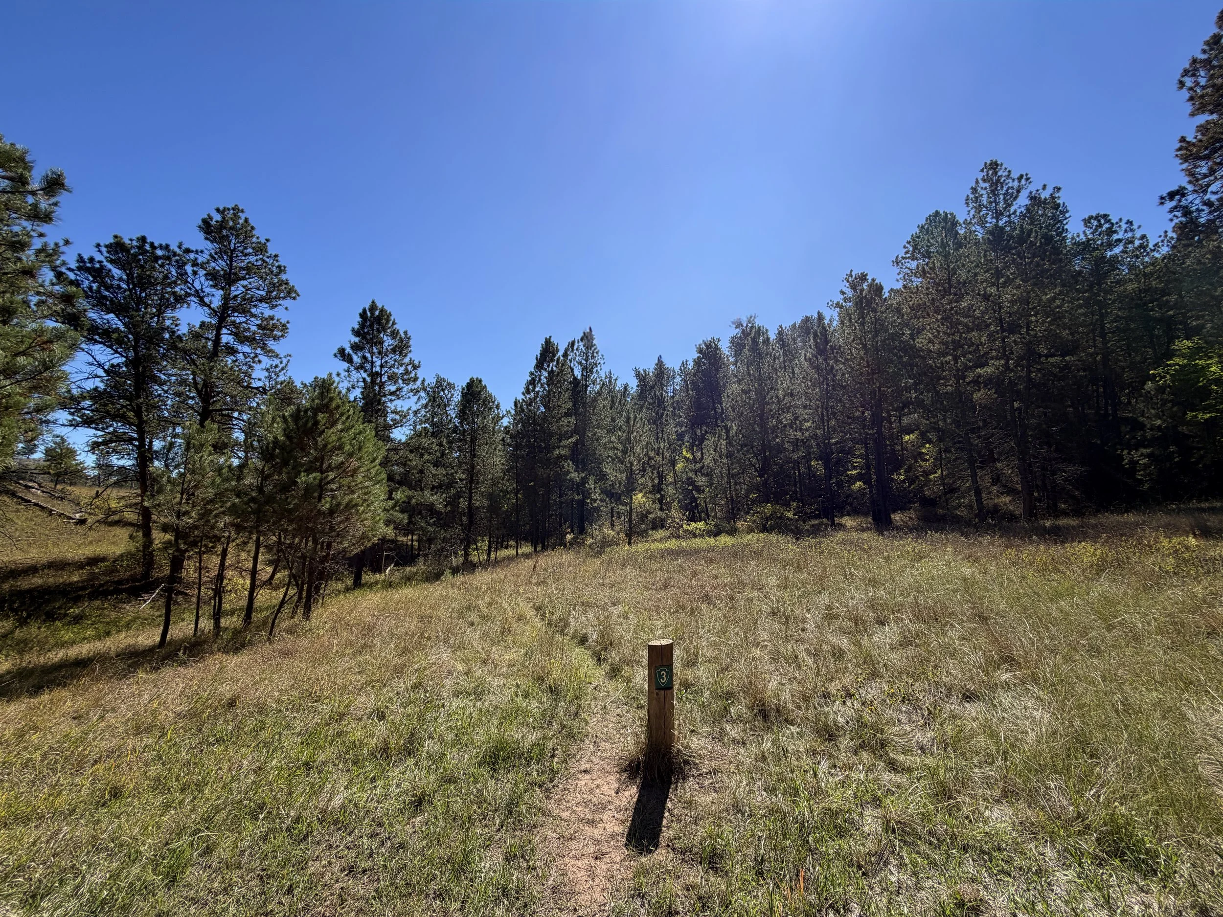 East Bison Flats Hike Wind Cave National Park South Dakota