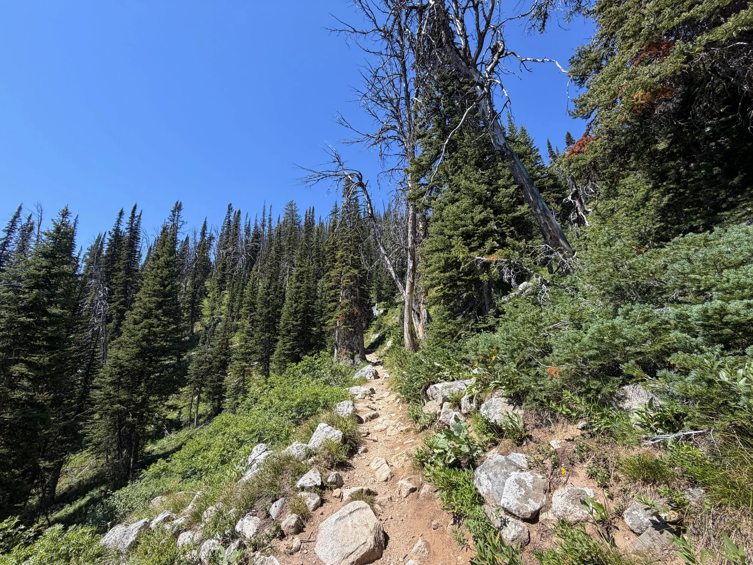 Surprise and Amphitheater Lakes Trail Grand Teton National Park Wyoming