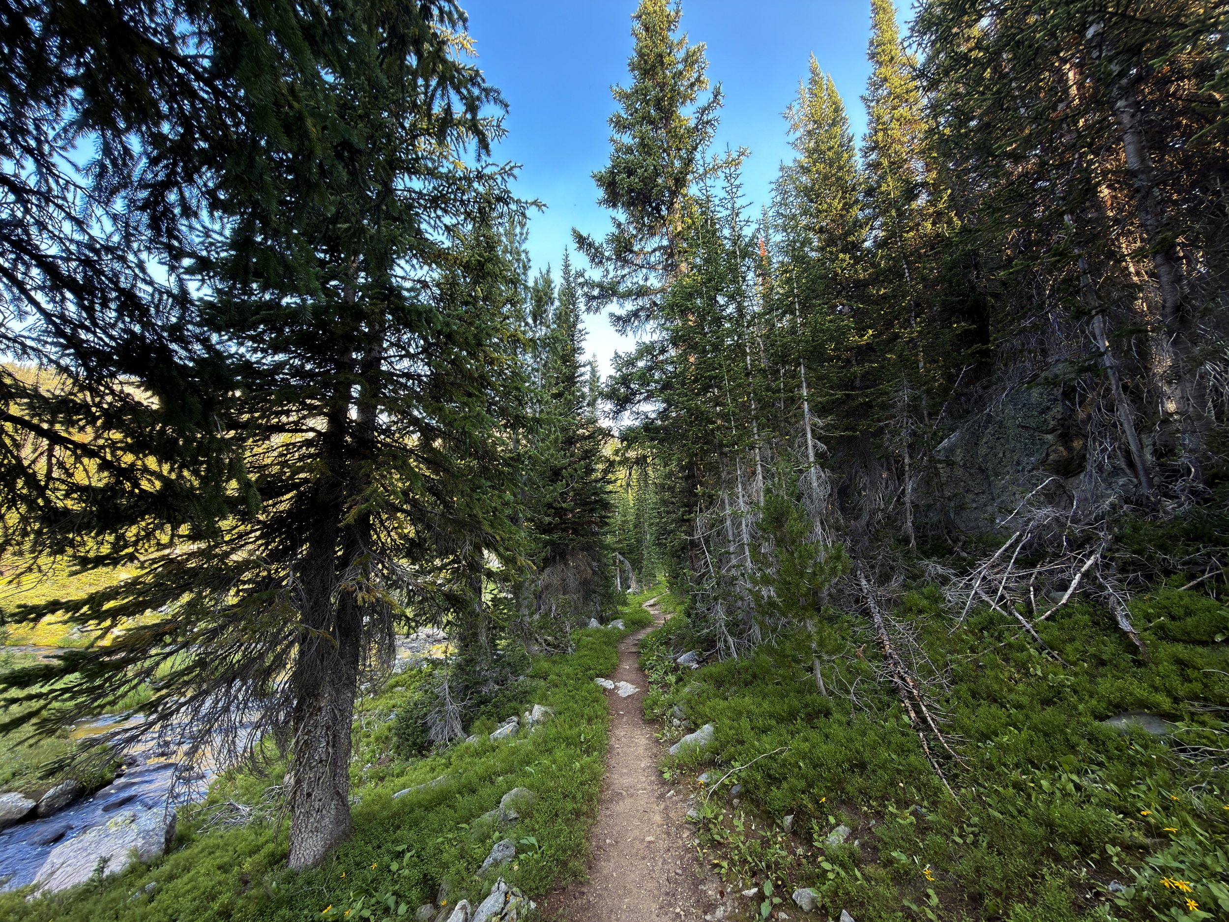 Beaten Path Trail Beartooth Mountains Montana