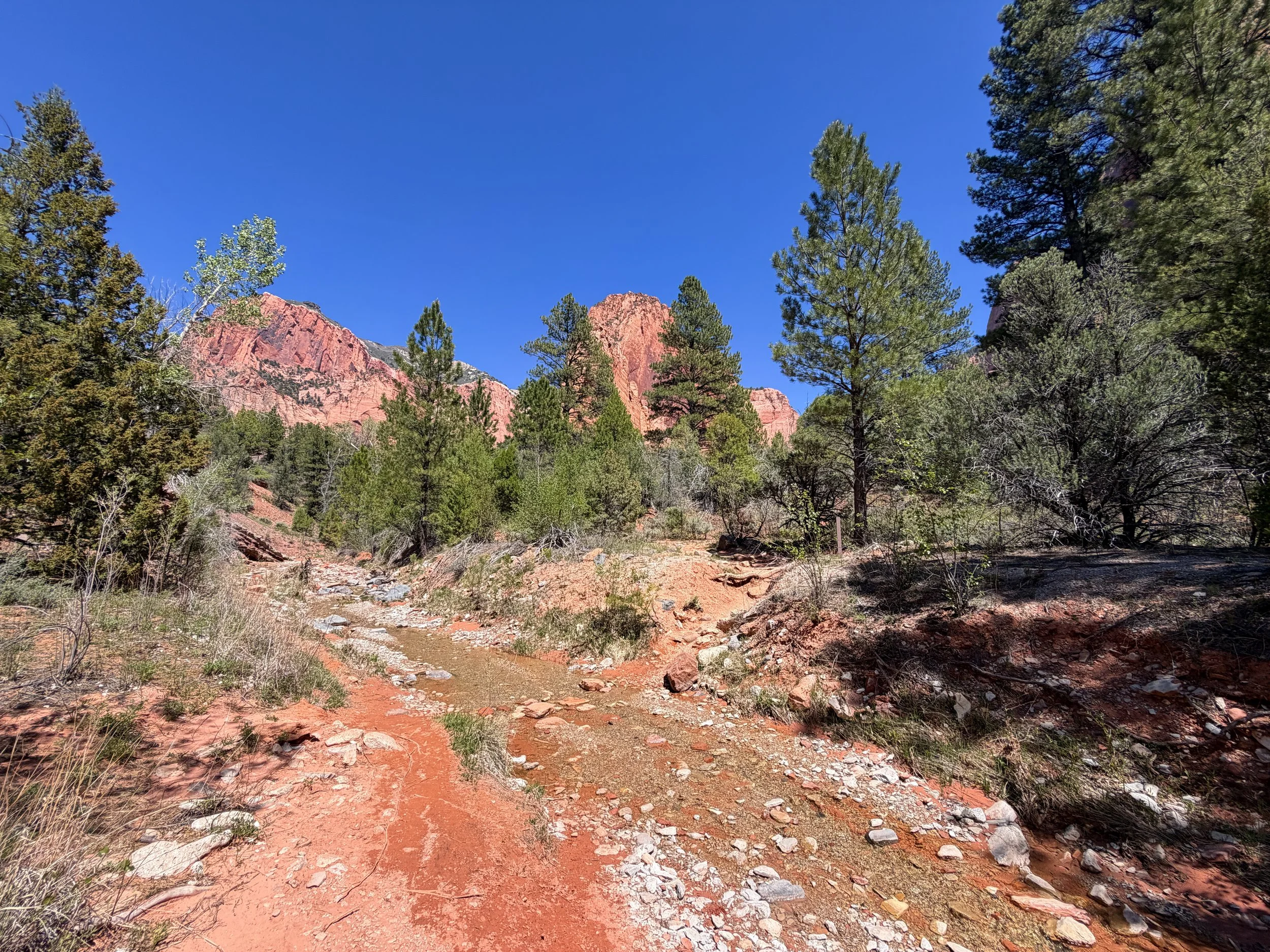 Middle Taylor Creek Trail to Double Arch Alcove Zion National Park Utah
