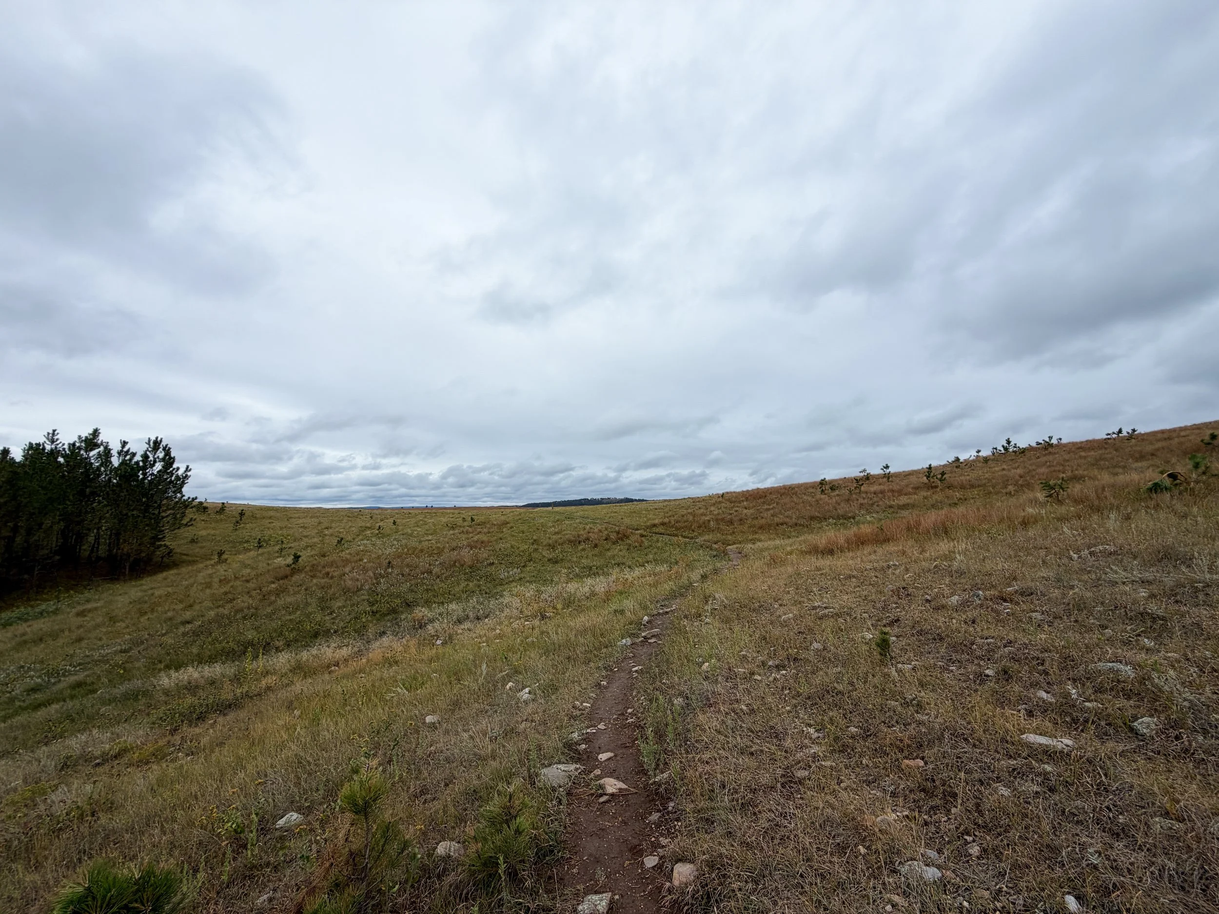 Highland Creek to Lookout Point Trail Wind Cave National Park South Dakota