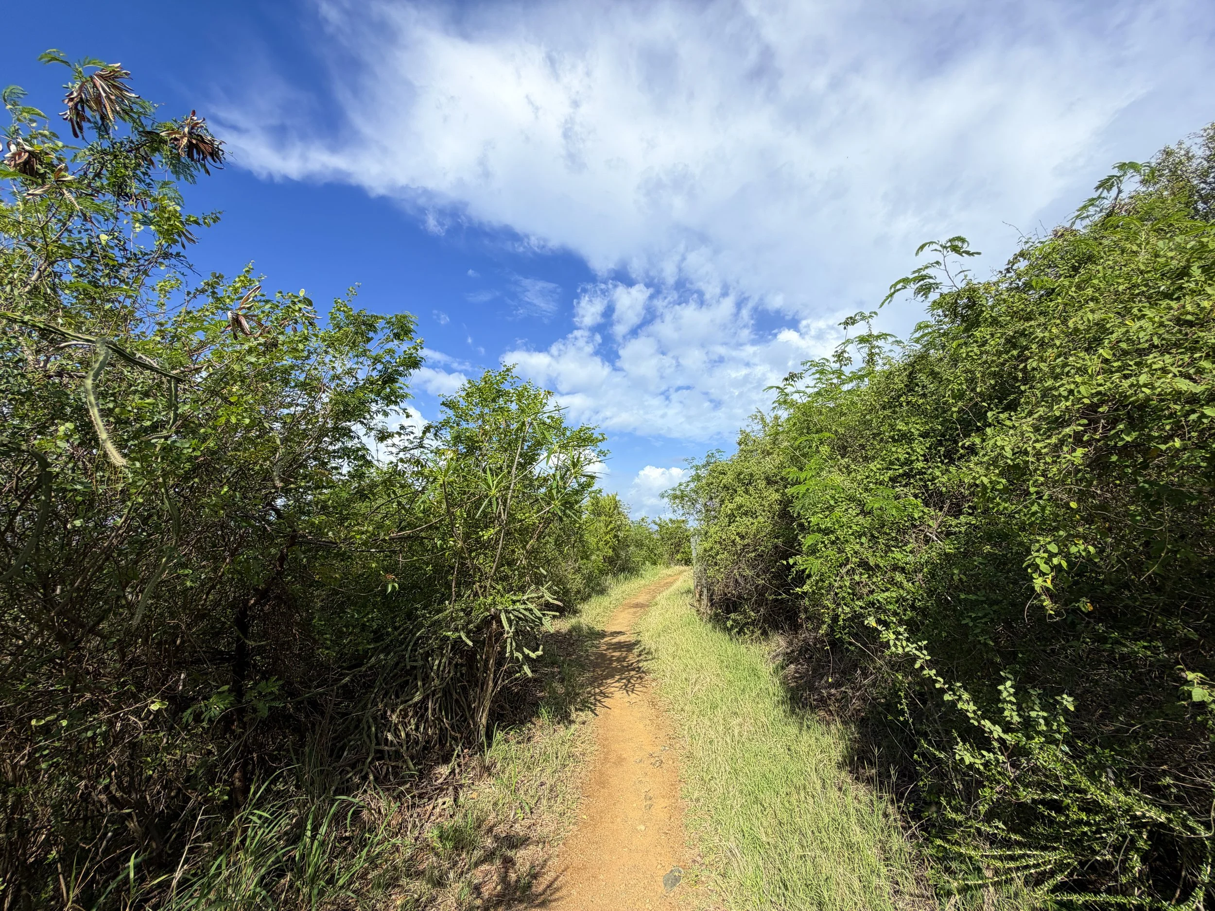 Lind Point Hike Virgin Islands National Park