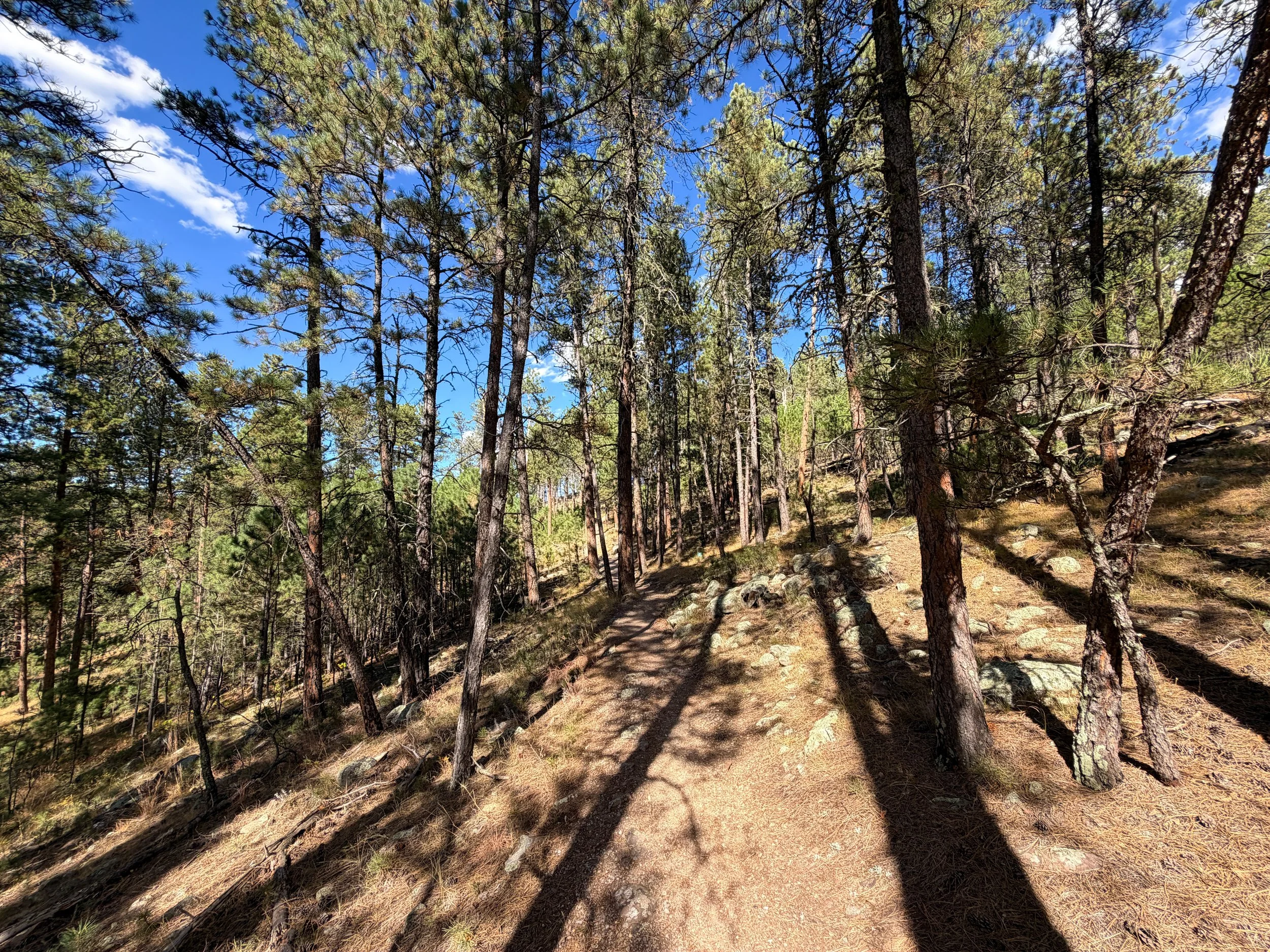 Rankin Ridge Trail Wind Cave National Park South Dakota