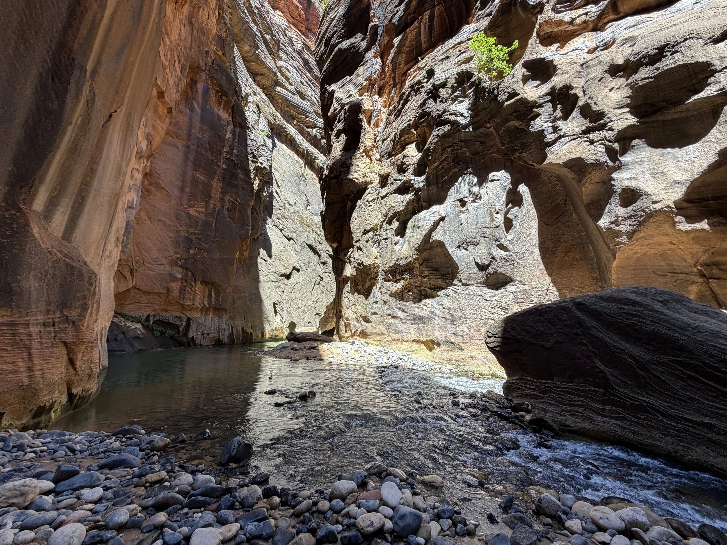 Floating Rock Narrows Zion National Park Utah