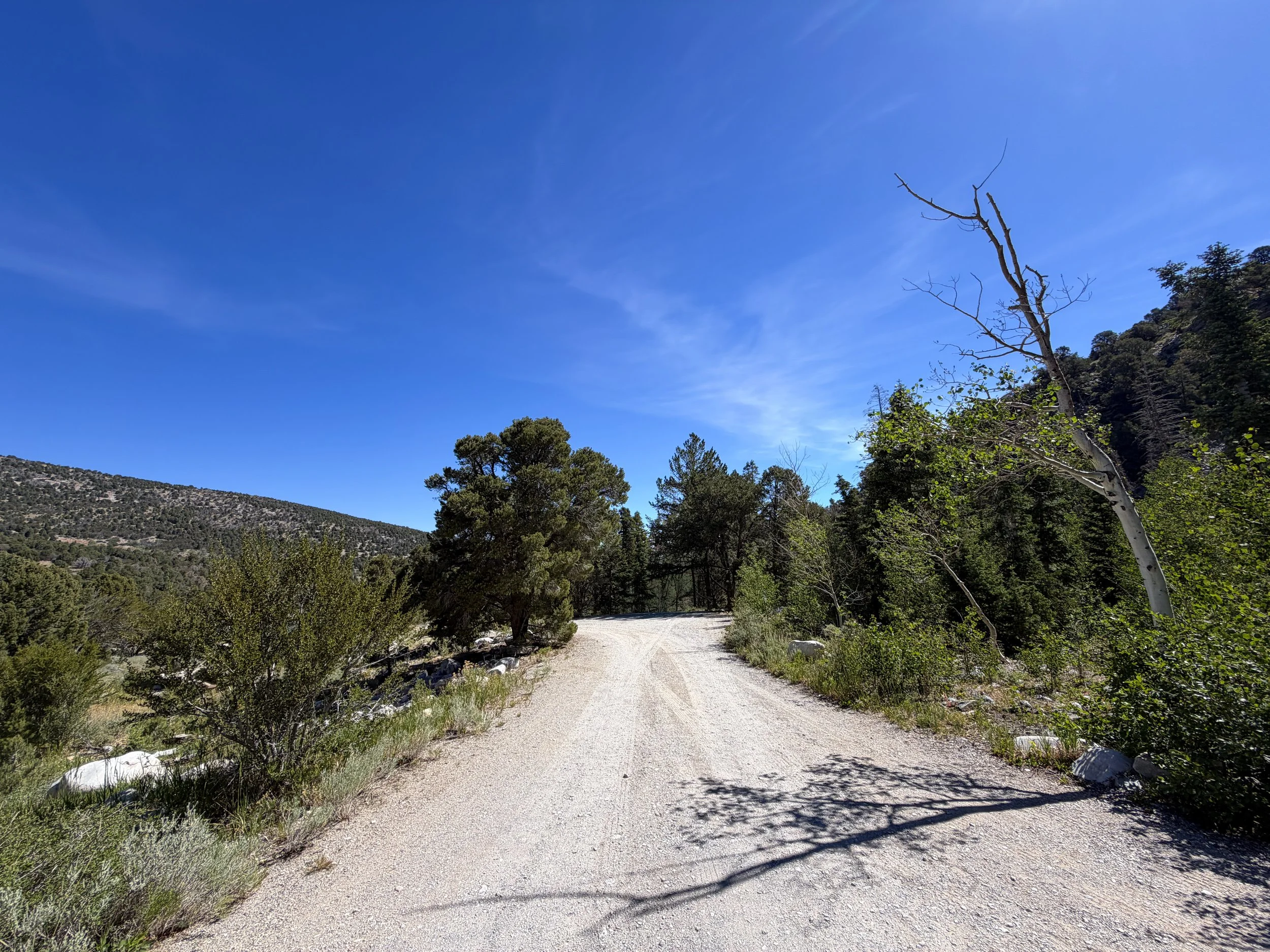 Baker Creek Campground Pole Canyon Trail Great Basin National Park Nevada