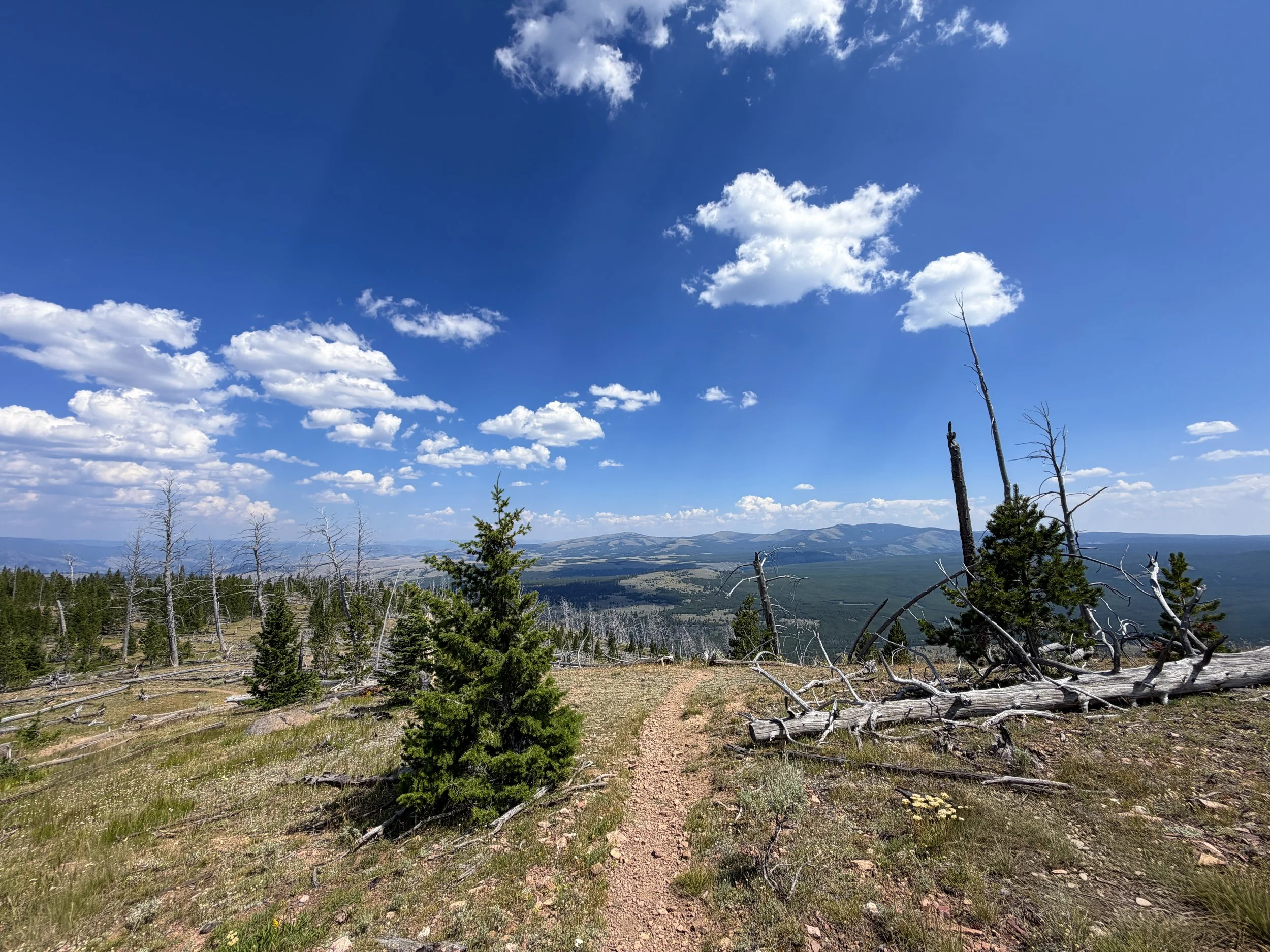 Bunsen Peak Trail to Osprey Falls Yellowstone National Park Wyoming