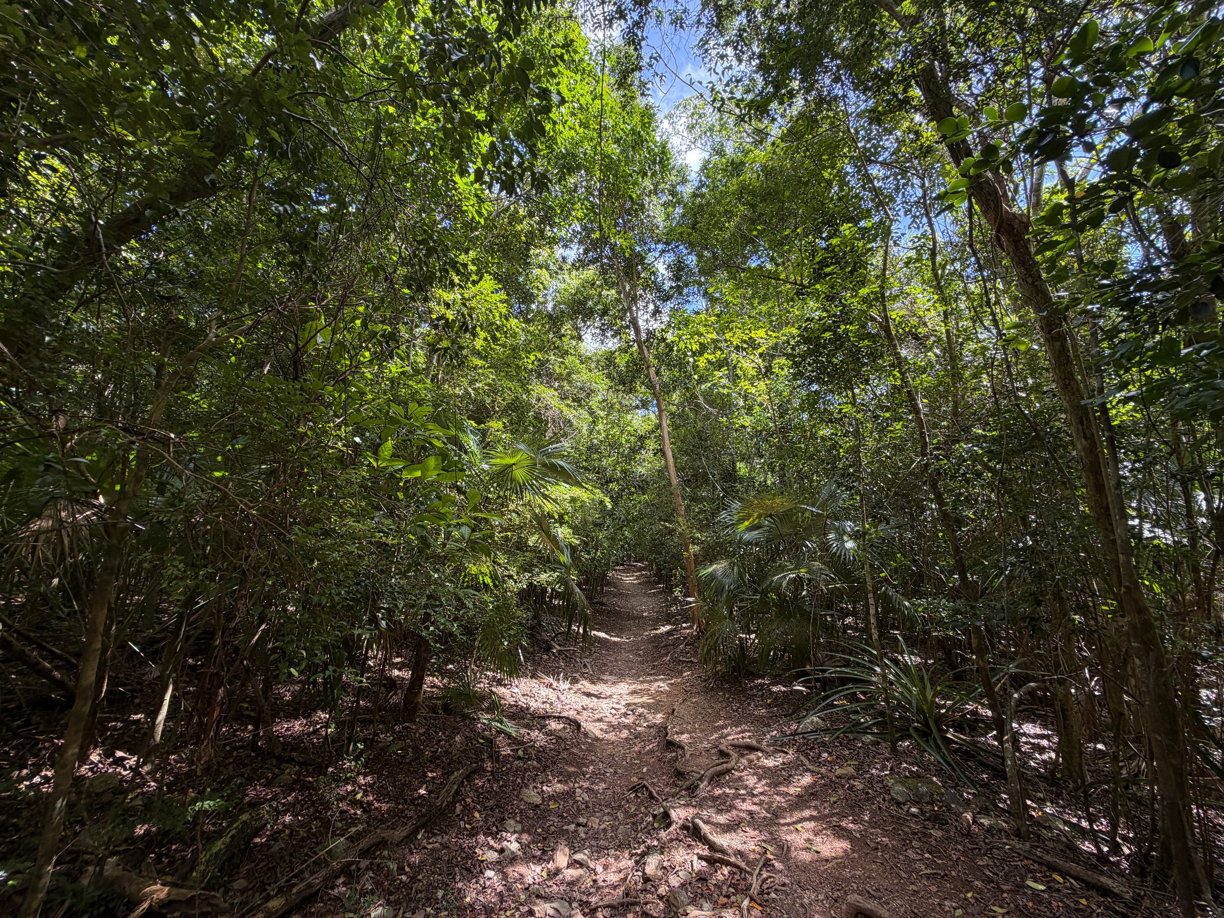 Reef Bay Trail Virgin Islands National Park