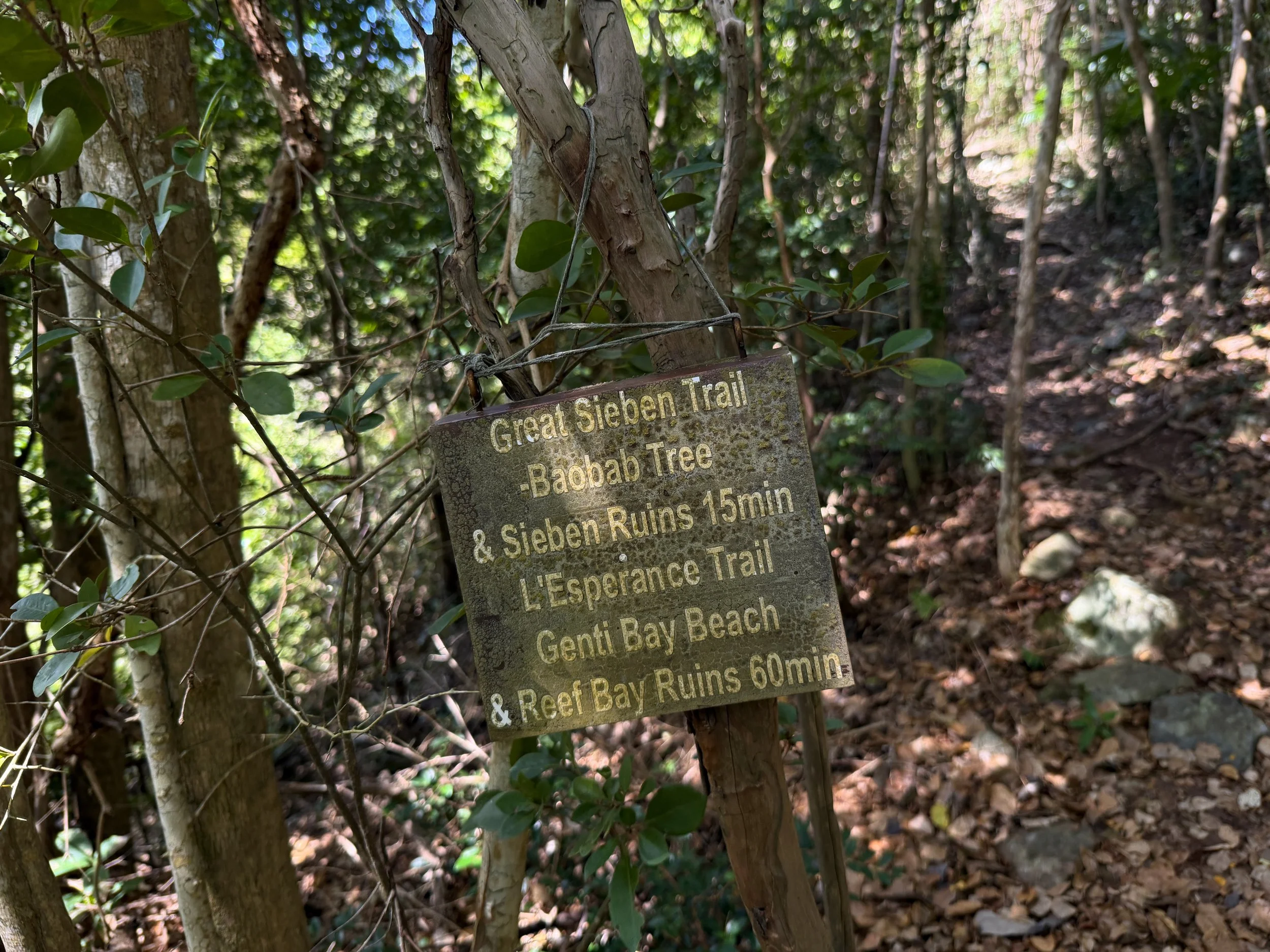 Great Sieben Trailhead Virgin Islands National Park