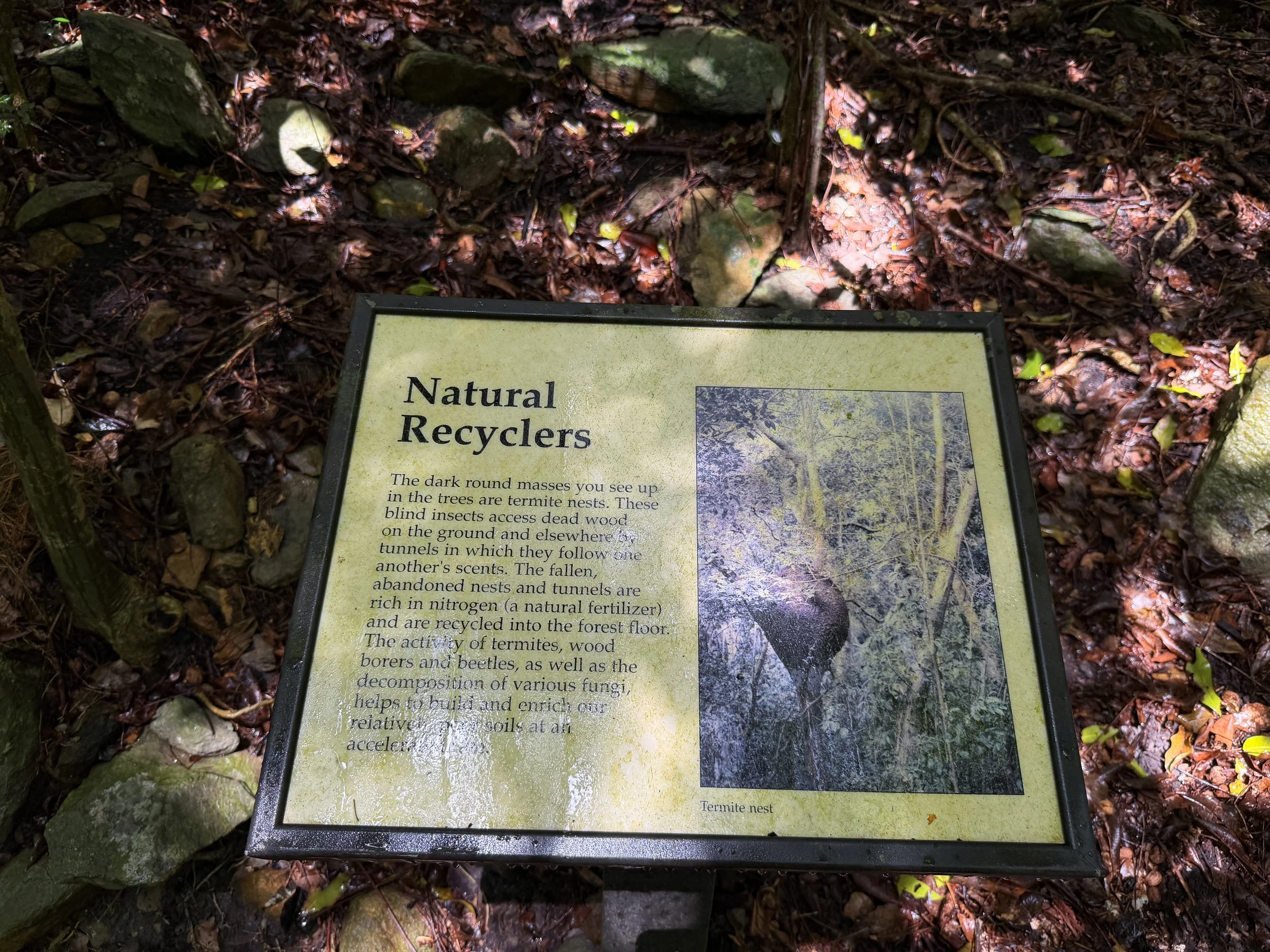 Cinnamon Bay Loop Trail Virgin Islands National Park