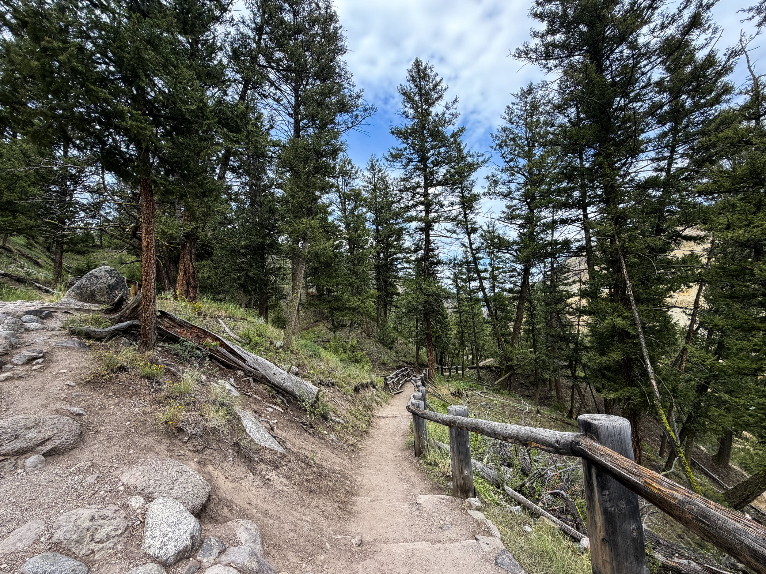 Tower Falls Trail Yellowstone National Park Wyoming