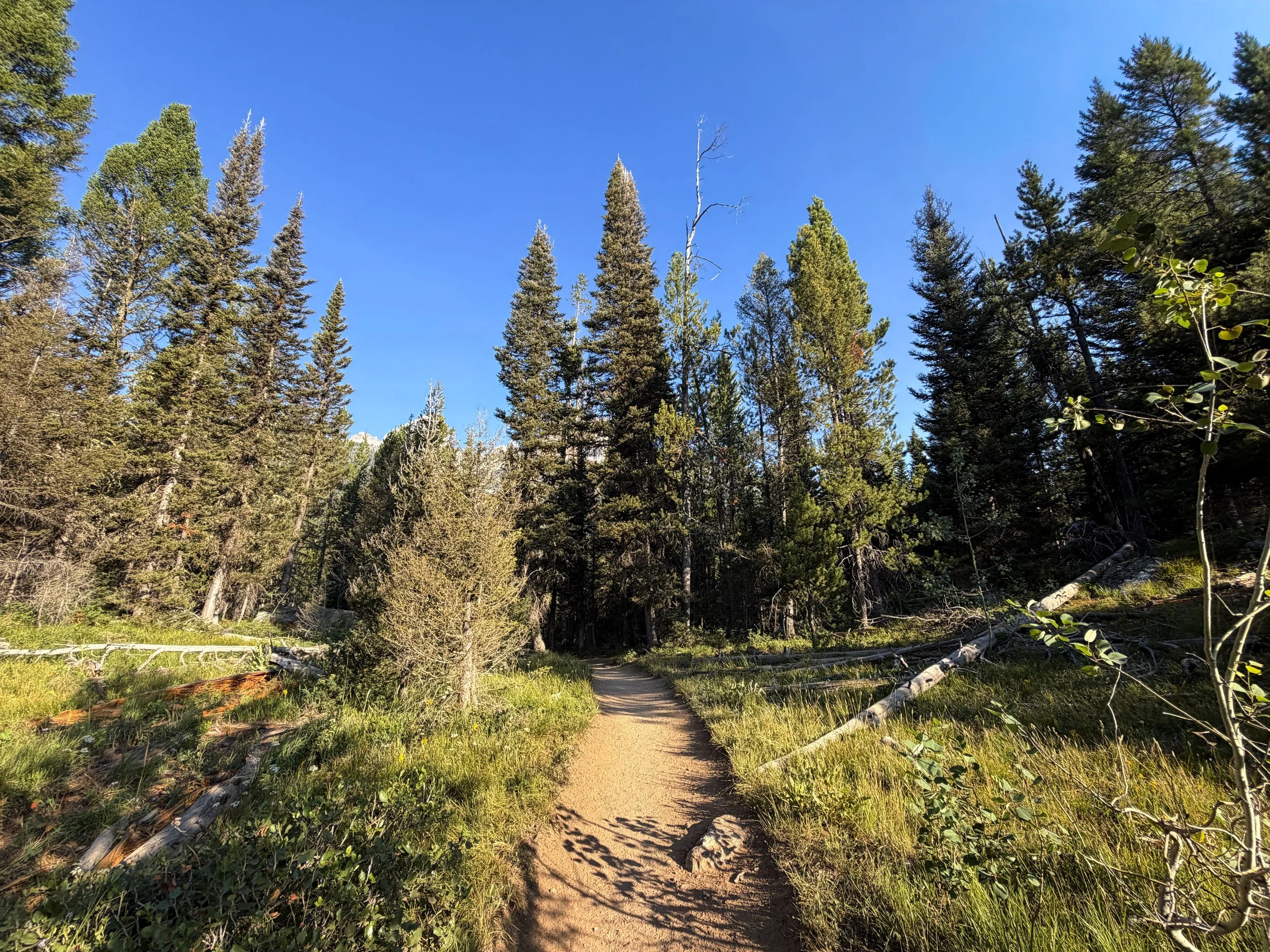 Delta Lake Hike via Lupine Meadows Grand Teton National Park Wyoming