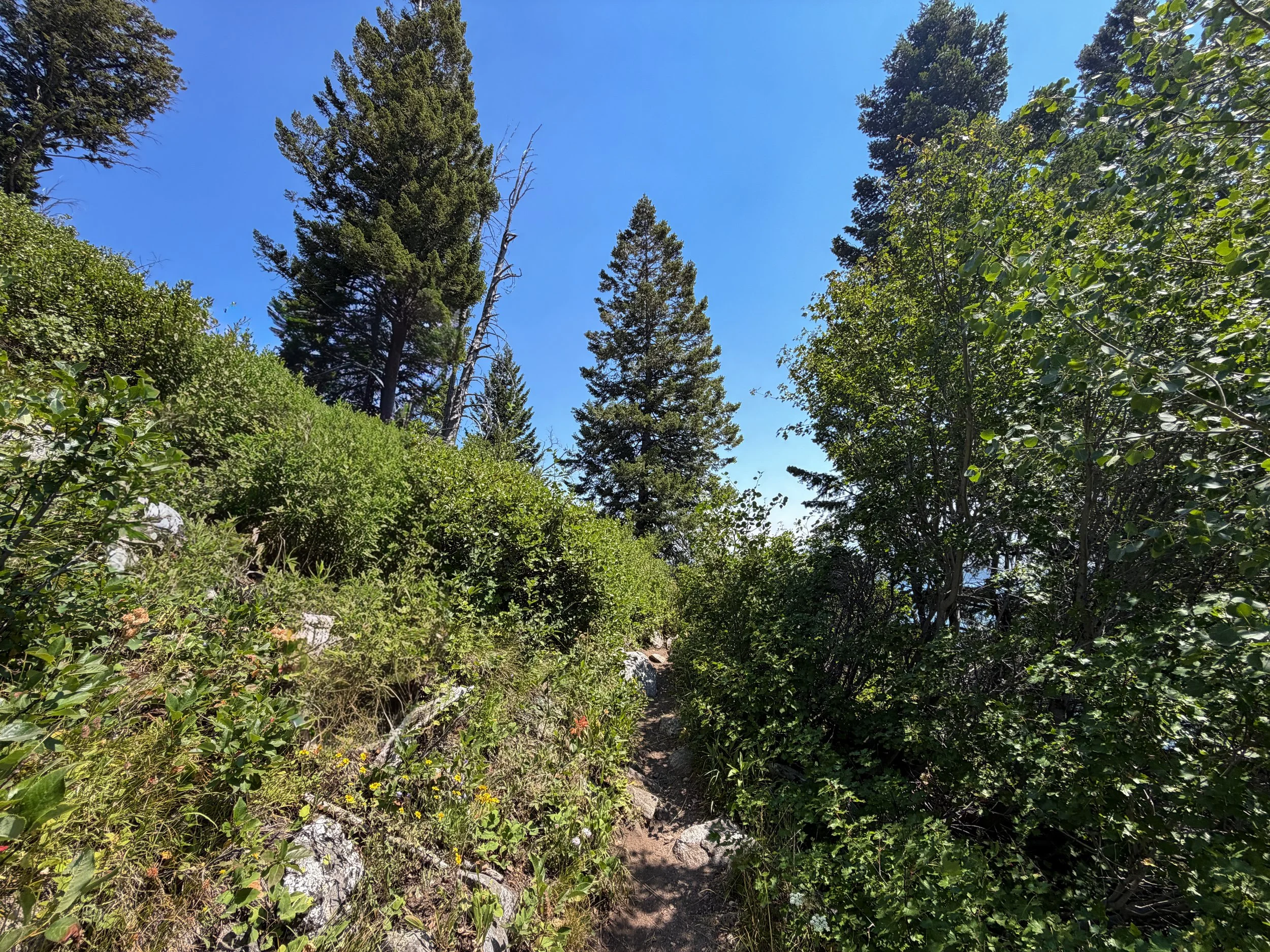 Lake of the Crags Trail Grand Teton National Park Wyoming