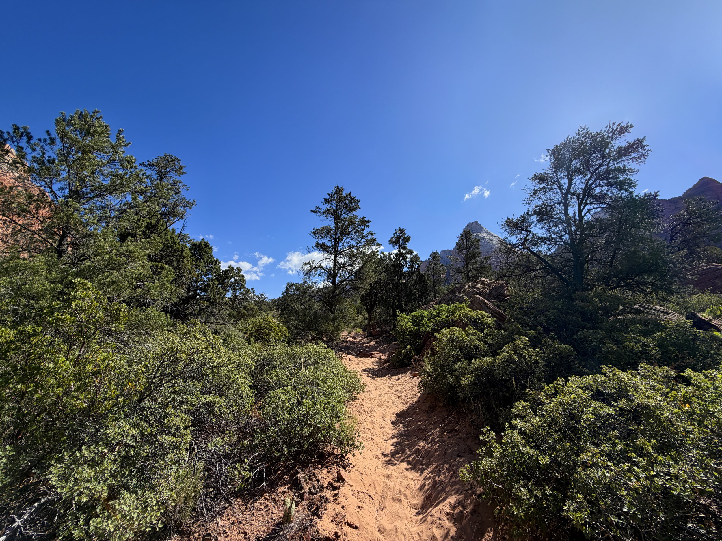 Sand Bench Trail Zion National Park Utah