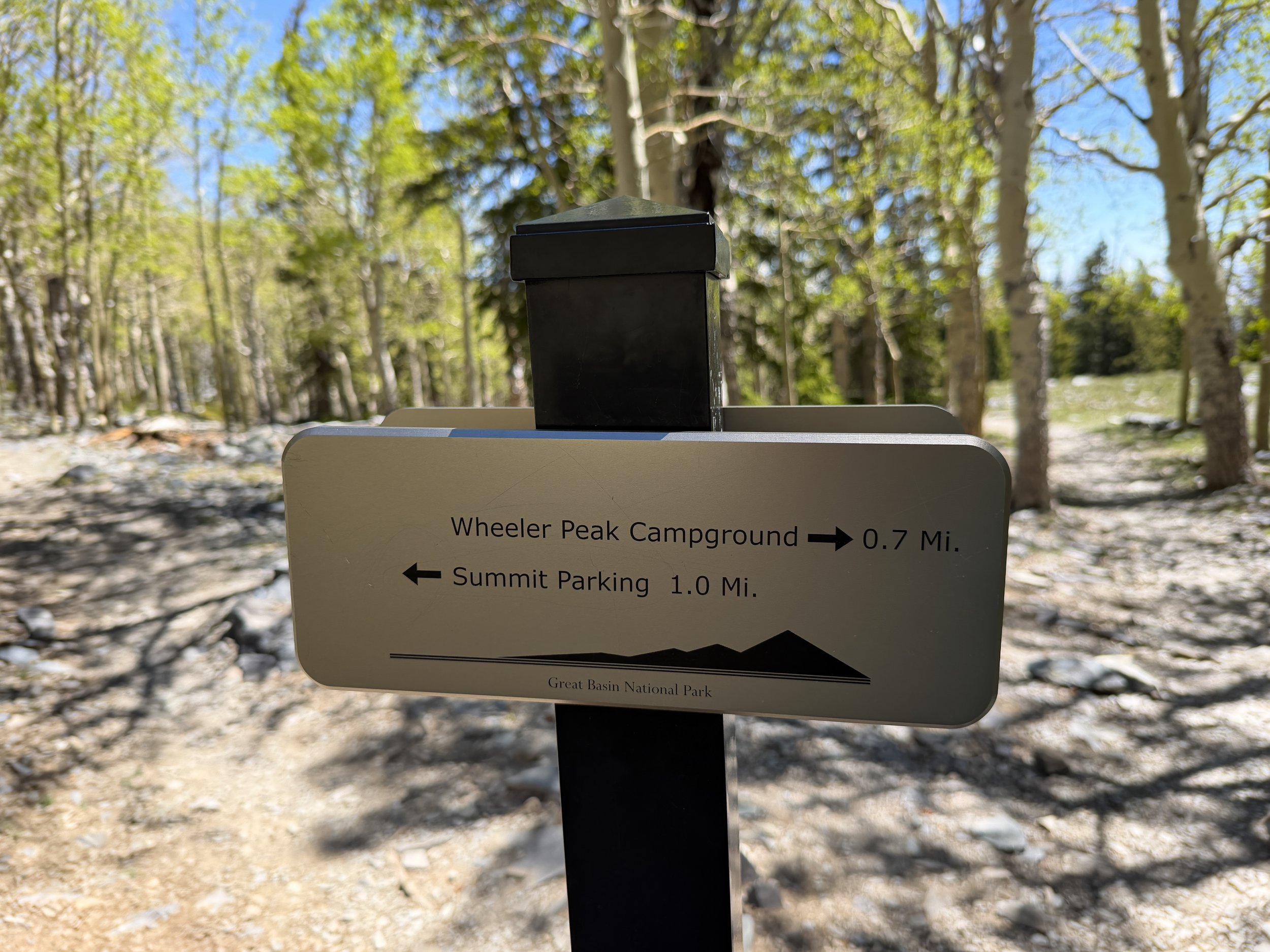 Wheeler Peak Trail Great Basin National Park Nevada