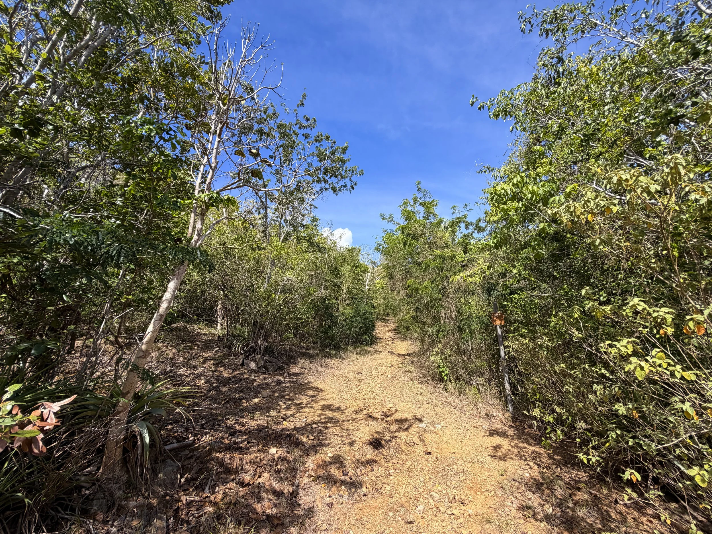 Lameshur Bay Trail to Europa Bay Virgin Islands National Park