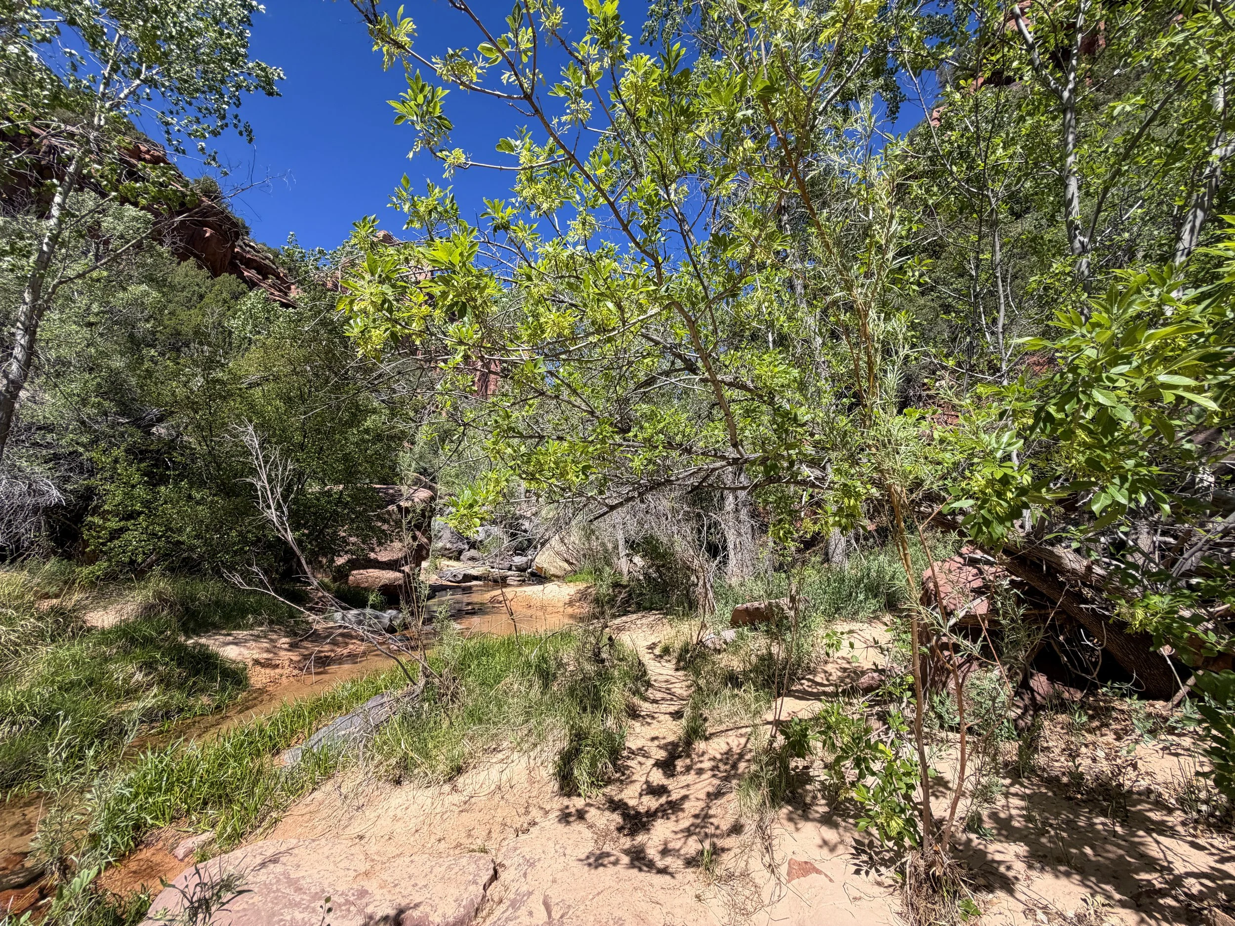 Subway Trail via Left Fork Trailhead Zion National Park Utah