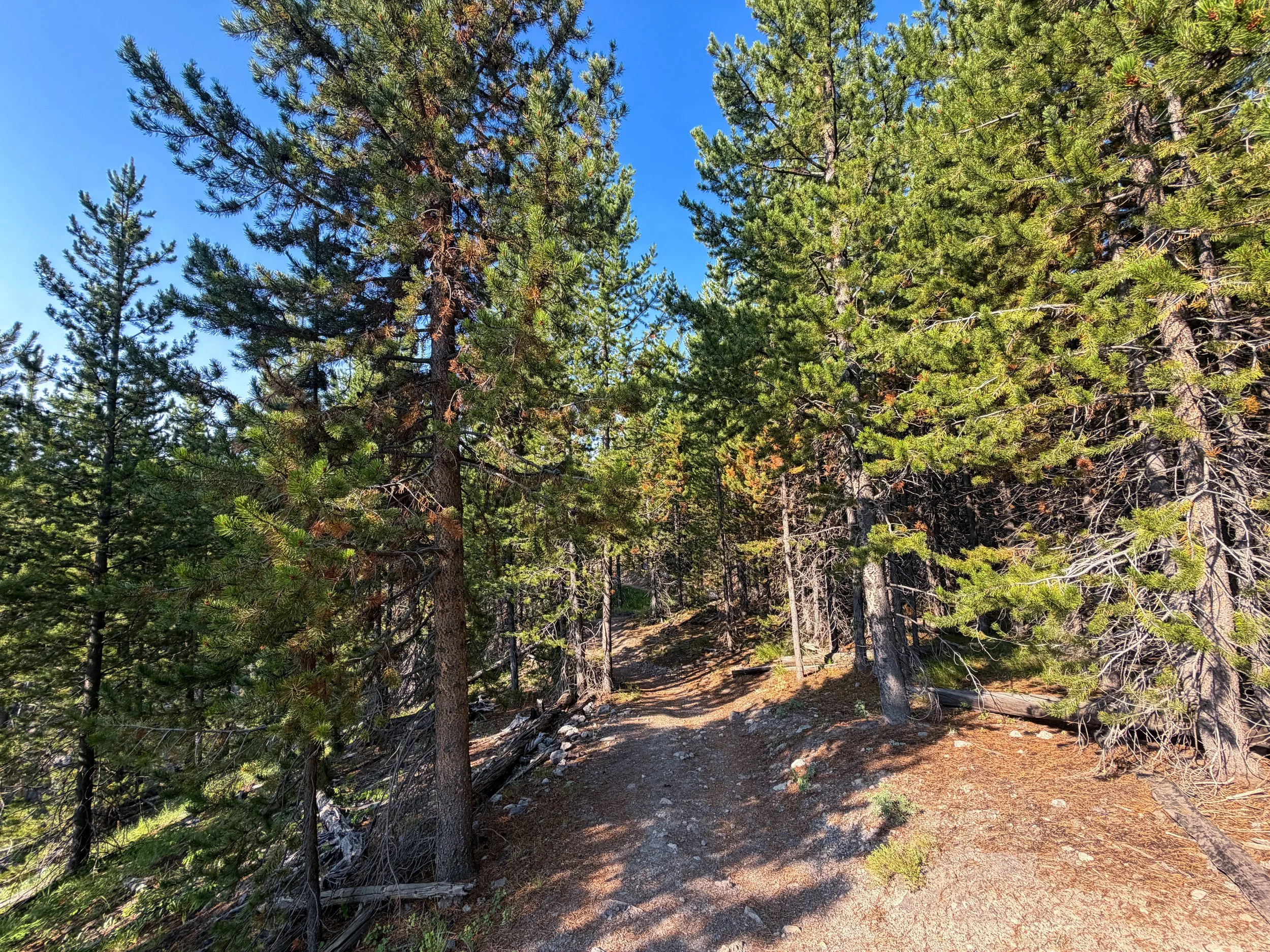 Mystic Falls Trail Yellowstone National Park Wyoming